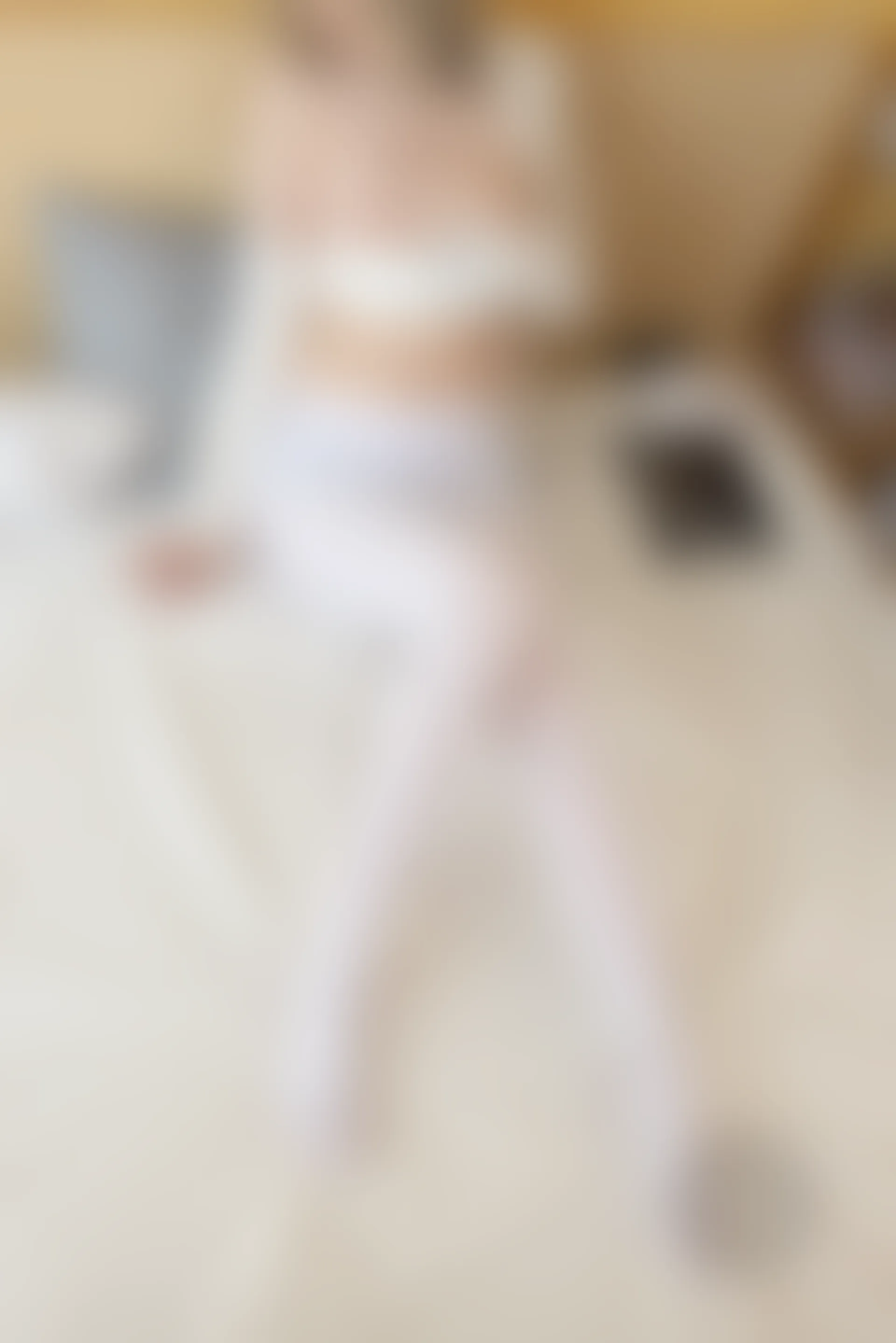 少女秩序 EX.11 内衣白丝 [65P-1.33GB]内衣, 可爱, 少女秩序, 白丝, 美腿, 美足
