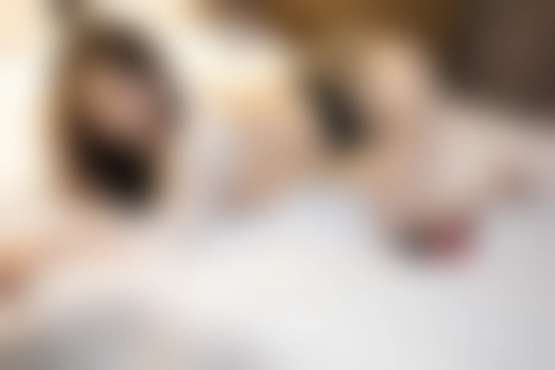 XiuRen秀人网 2022.03.18 No.4737 顾乔楠Cora 黑丝美臀[405+1P 1020MB]