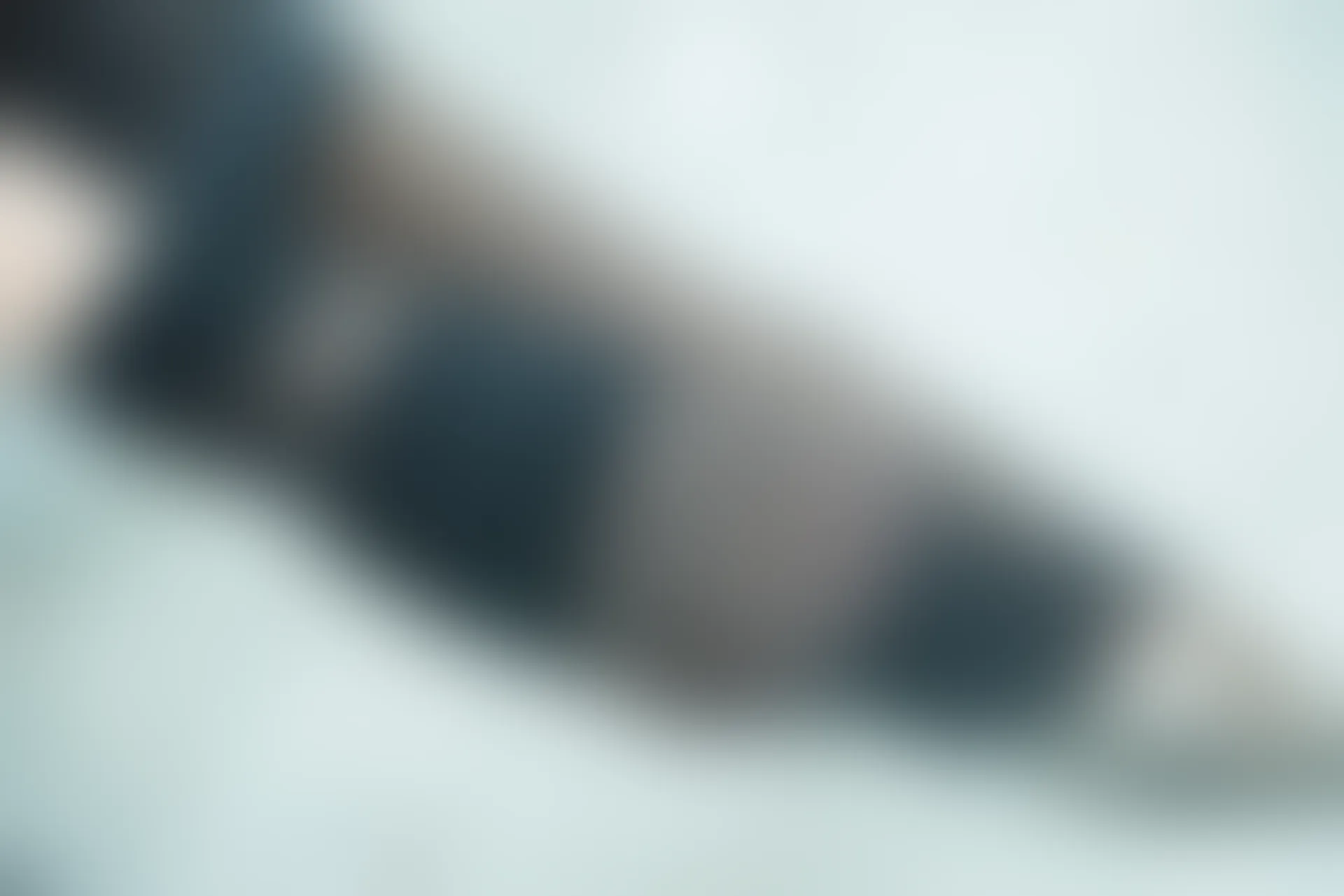 SSA丝社 超清写真 NO.070 雪梨 窗帘店前台[120P-2.11GB]