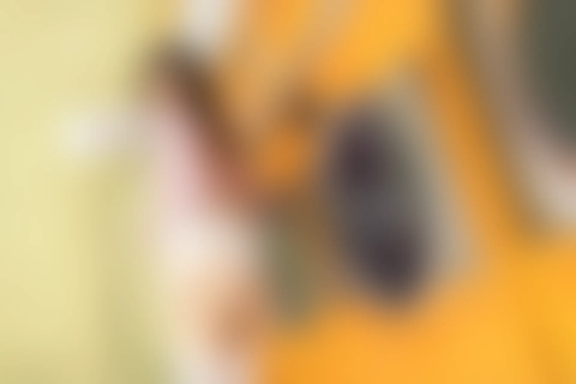 XiuRen秀人网 2021.12.03 No.4296 绮里嘉ula 御姐美腿[62+1P 614MB]