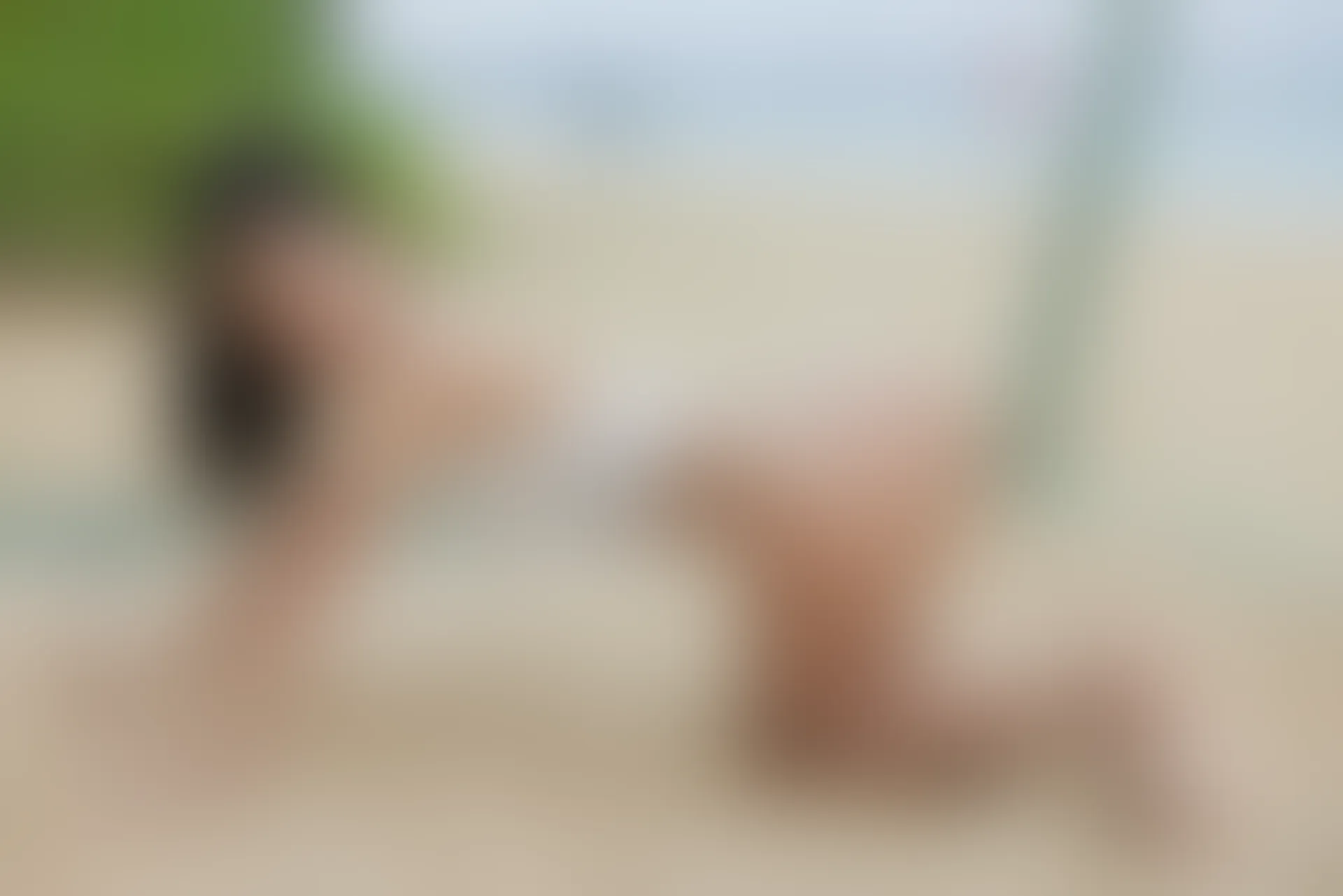 XiuRen秀人网 2022.01.11 No.4448 尹甜甜 三亚旅拍[54+1P 466MB]