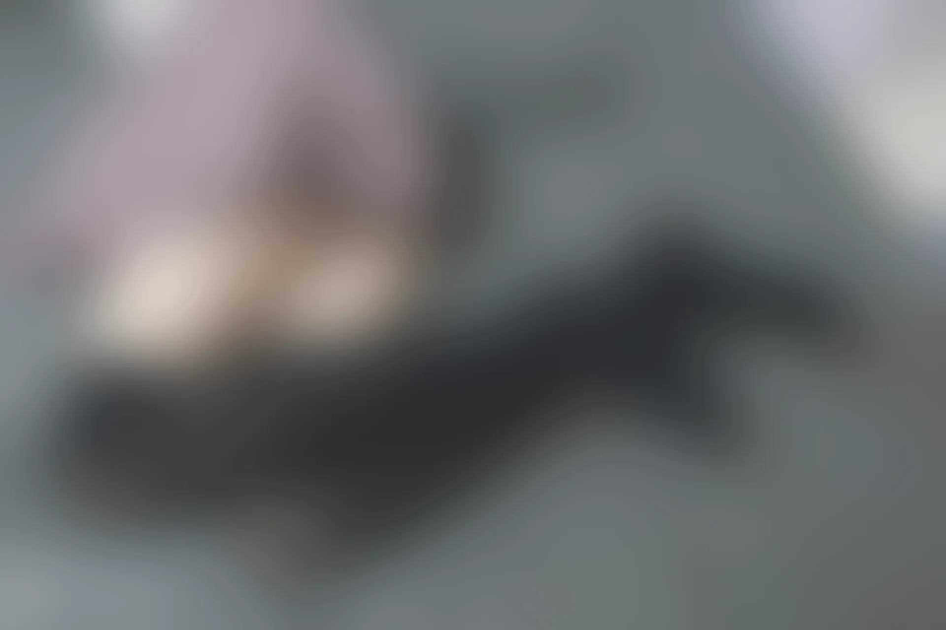 C13.003 猫和少女 [42P-102MB]