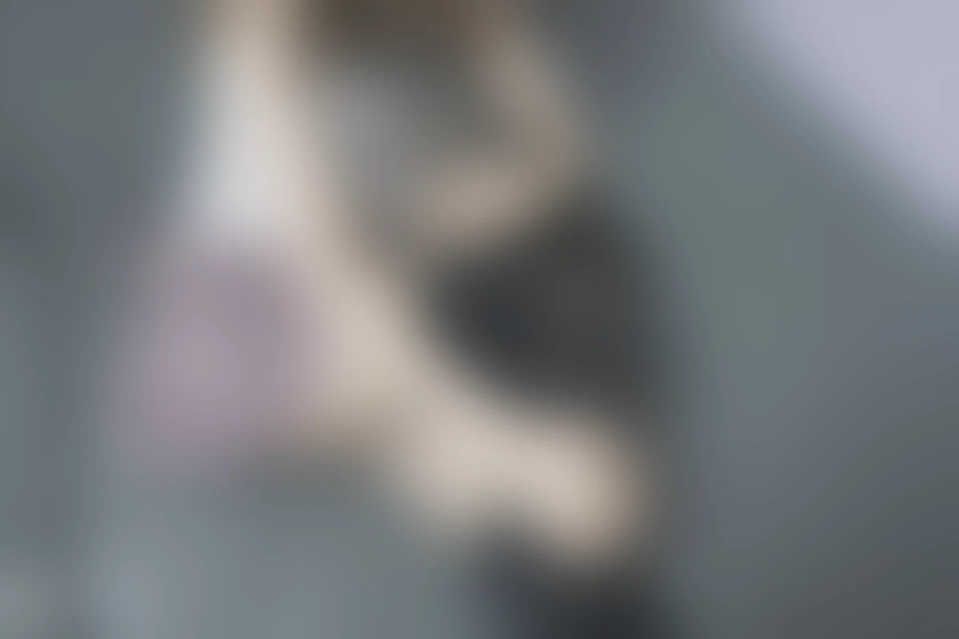 C13.003 猫和少女 [42P-102MB]