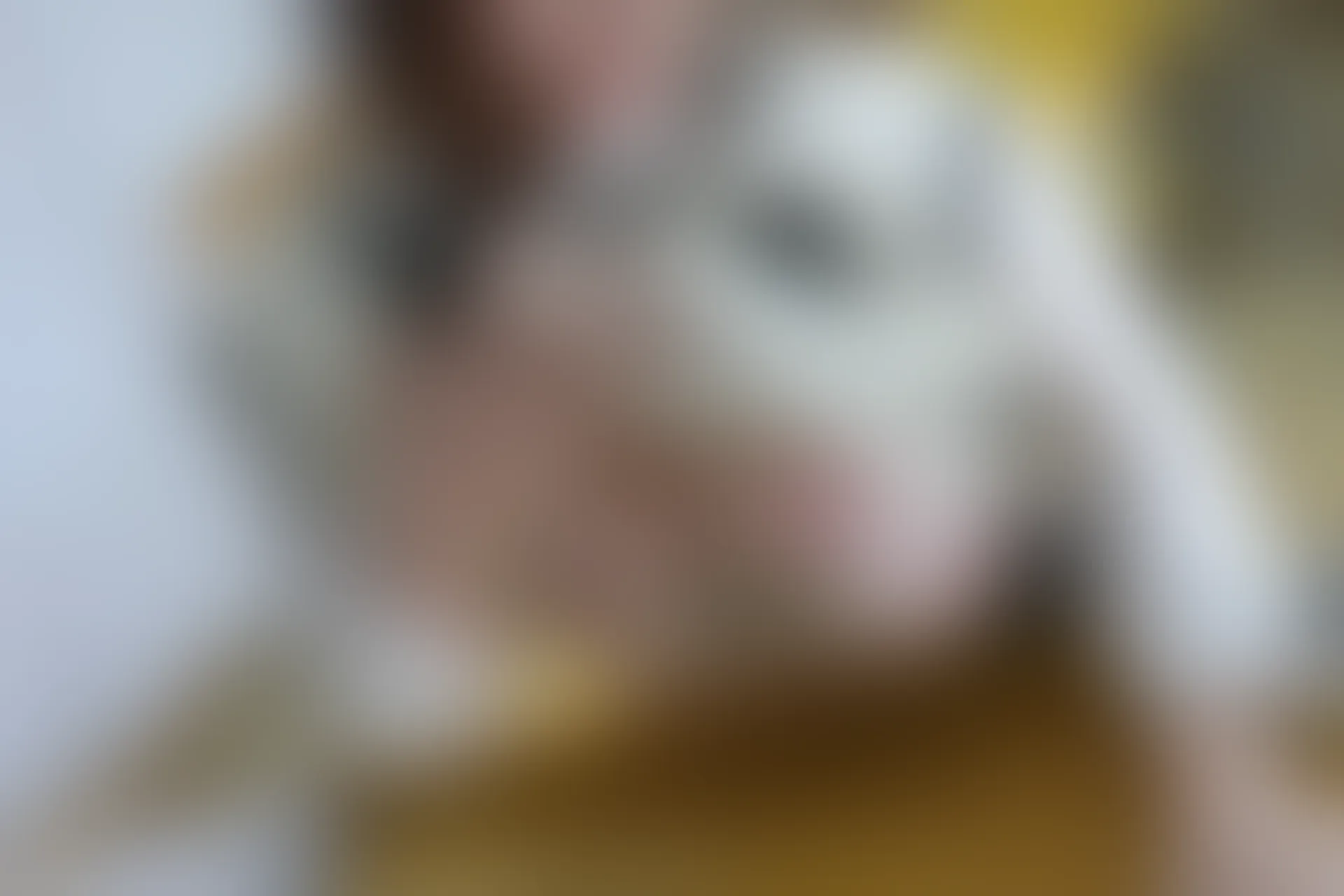 XIUREN秀人网 2023.11.24 NO.7712 白笑笑[87+1P／796MB]