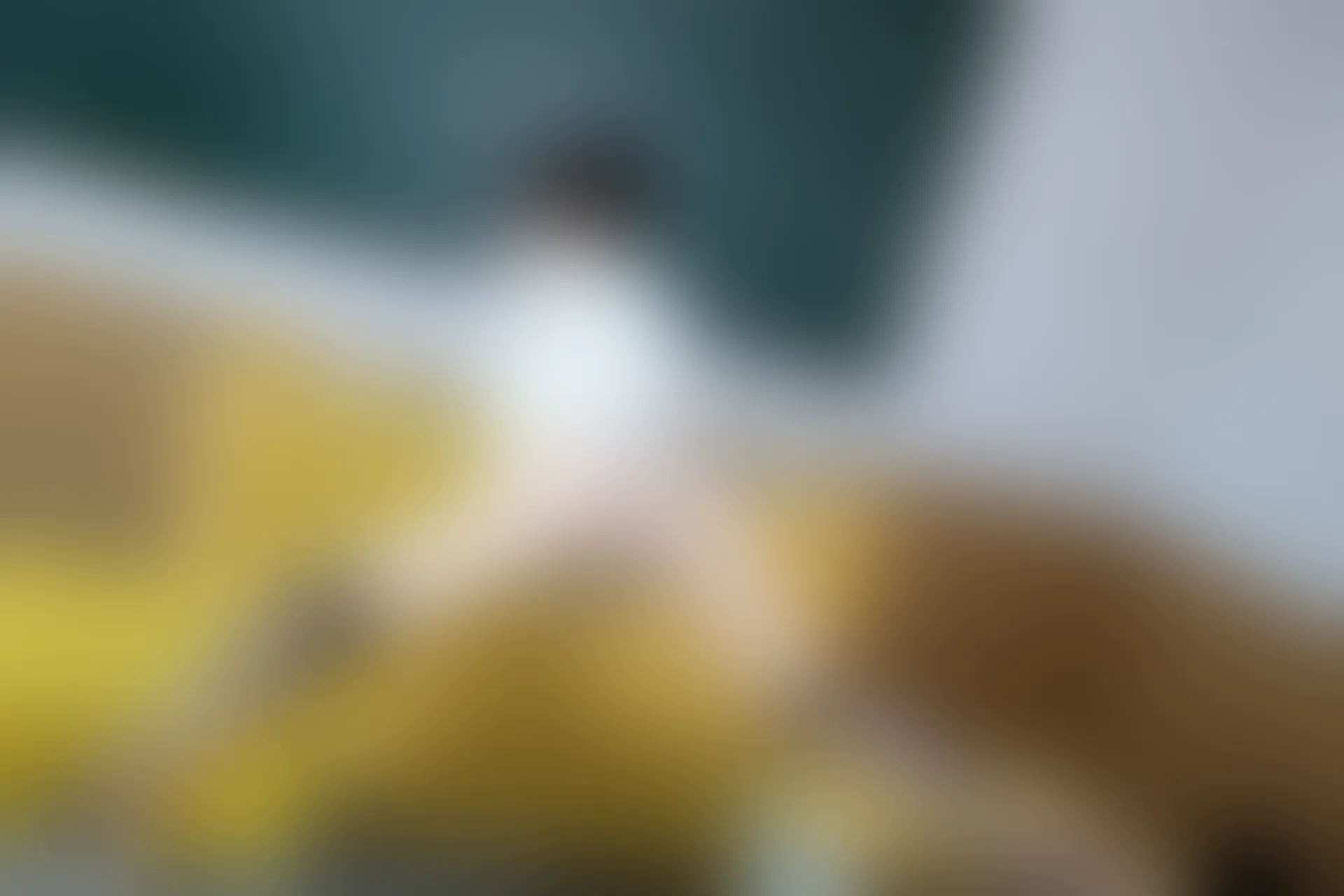 XIUREN秀人网 2023.11.24 NO.7712 白笑笑[87+1P／796MB]