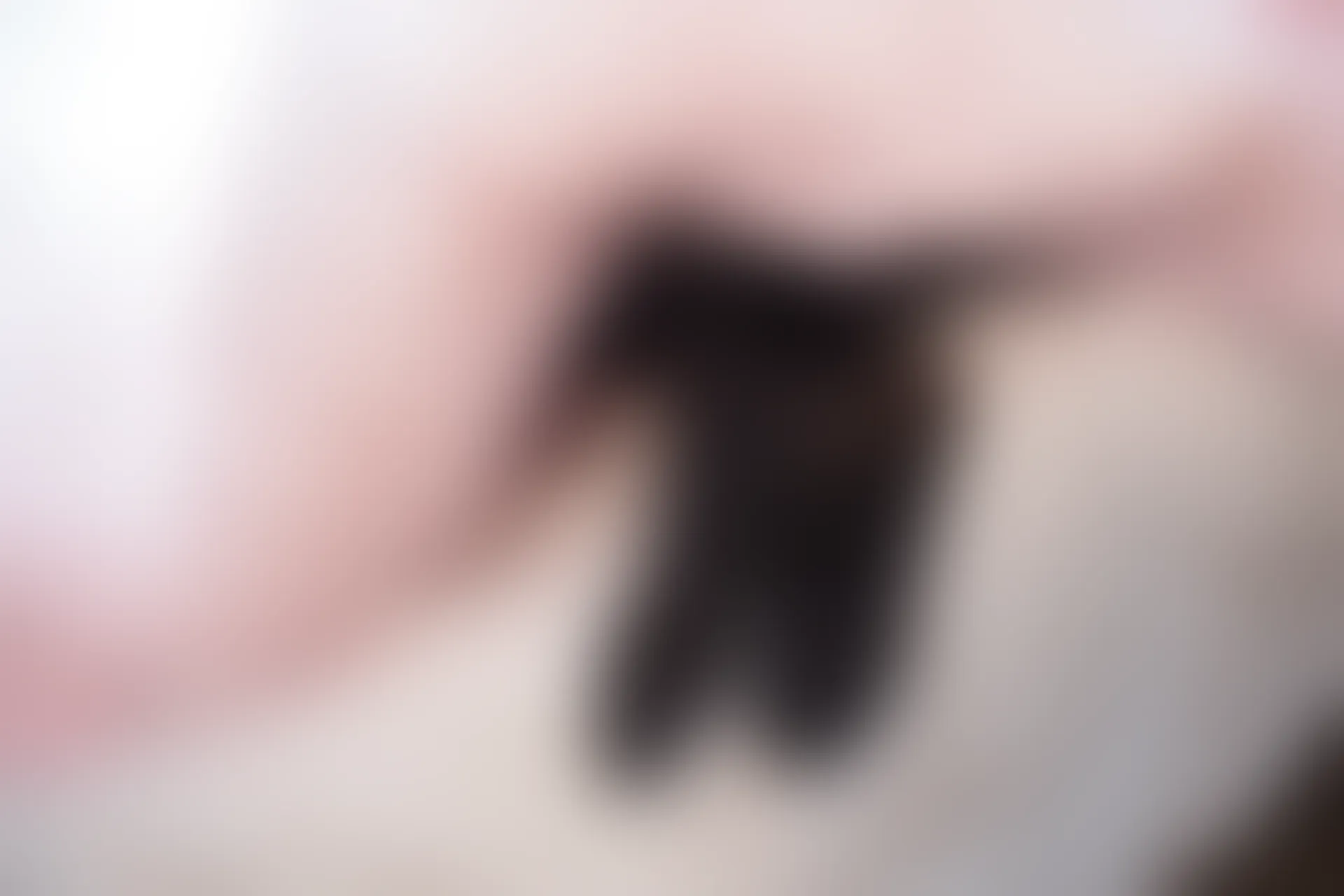 森萝财团 X-004 [127P1V-1.61G]美腿, 美足, 黑丝
