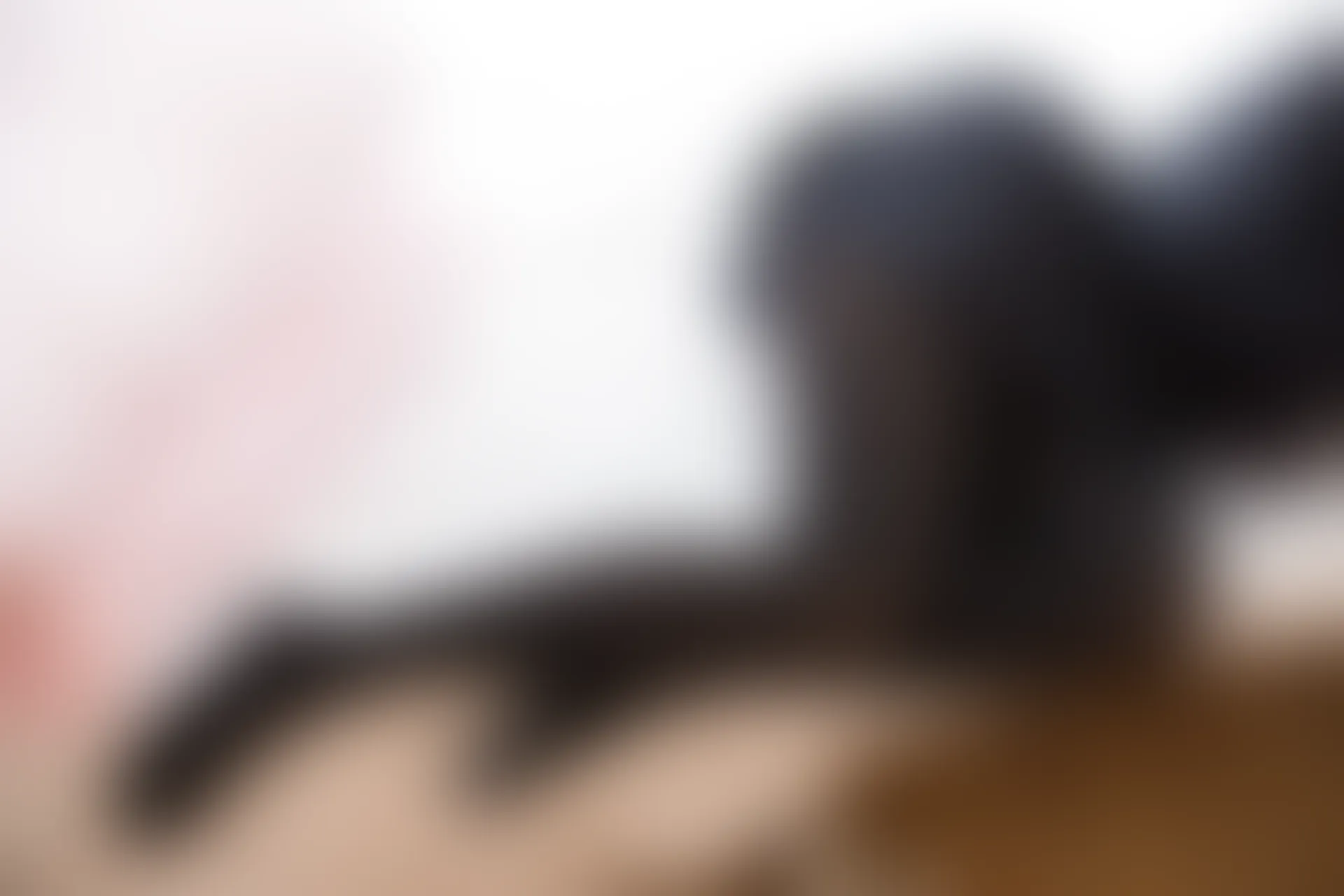 森萝财团 X-004 [127P1V-1.61G]美腿, 美足, 黑丝
