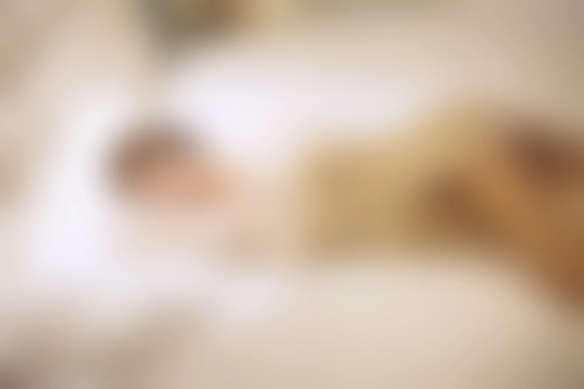 XiuRen秀人网 2018.02.12 No.935 廿十[58+1P240M]