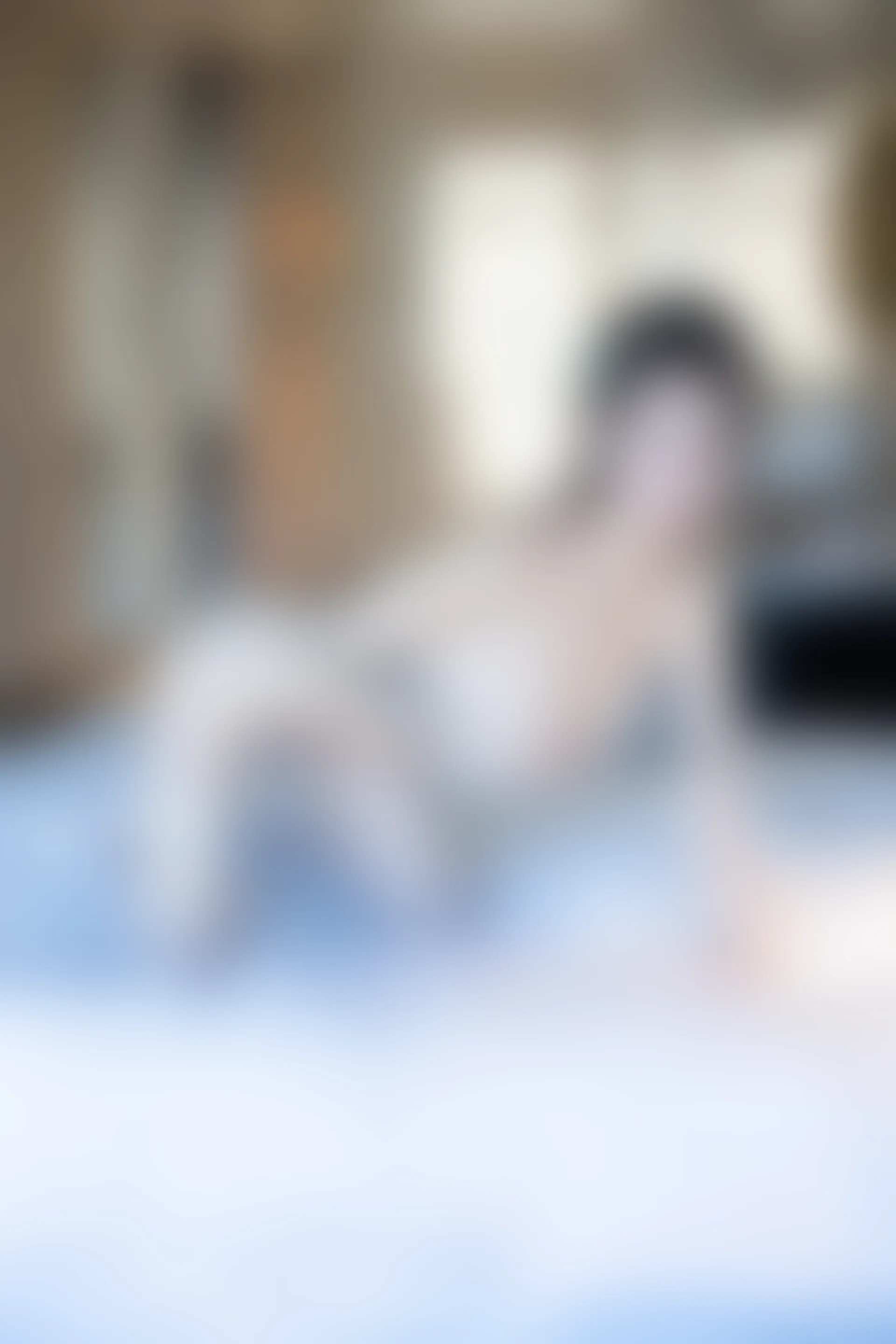 XIUREN秀人网 2024.02.19 NO.8108 林幼一[75+1P／606MB]