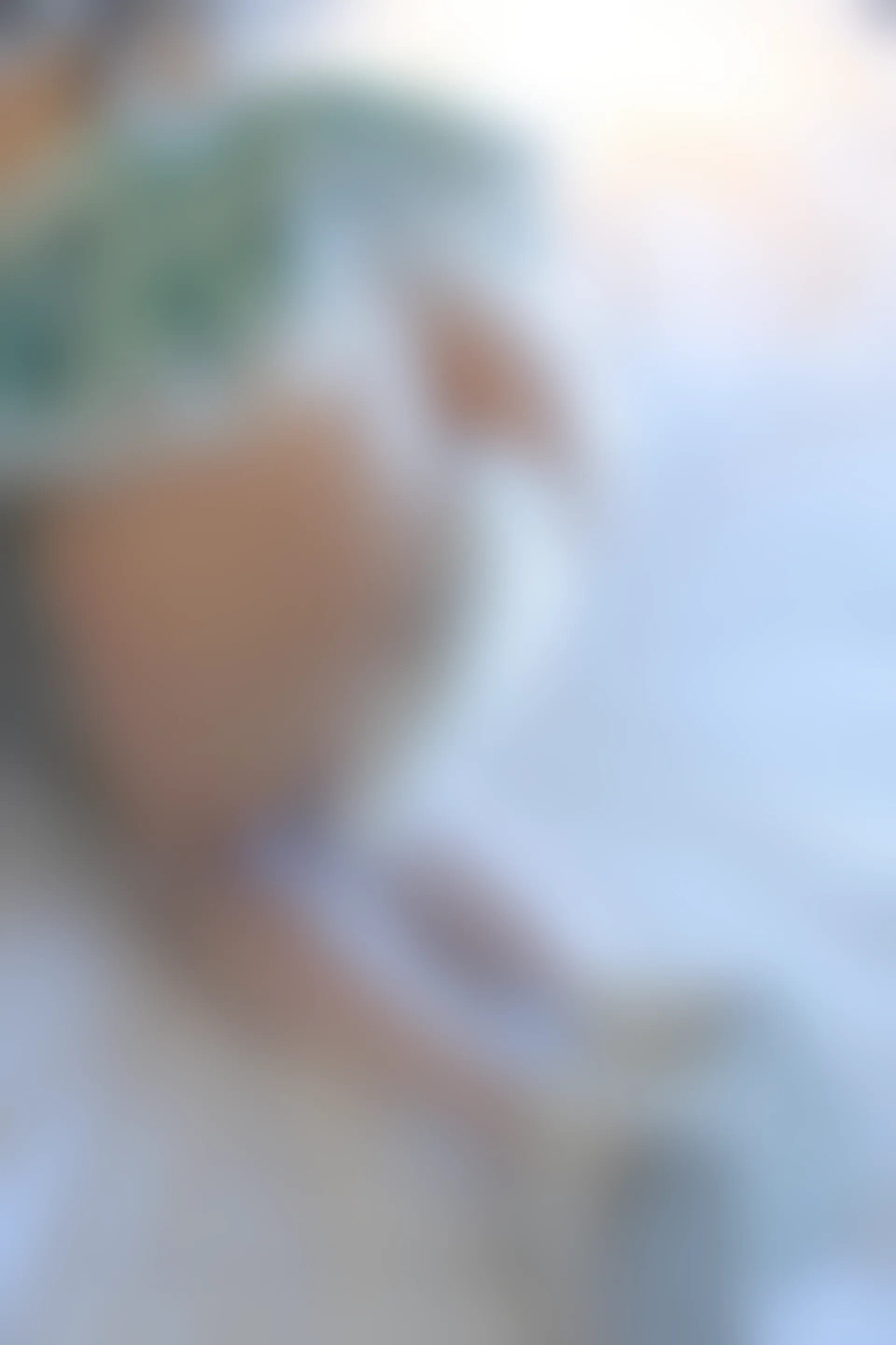 XIUREN秀人网 2024.02.19 NO.8108 林幼一[75+1P／606MB]