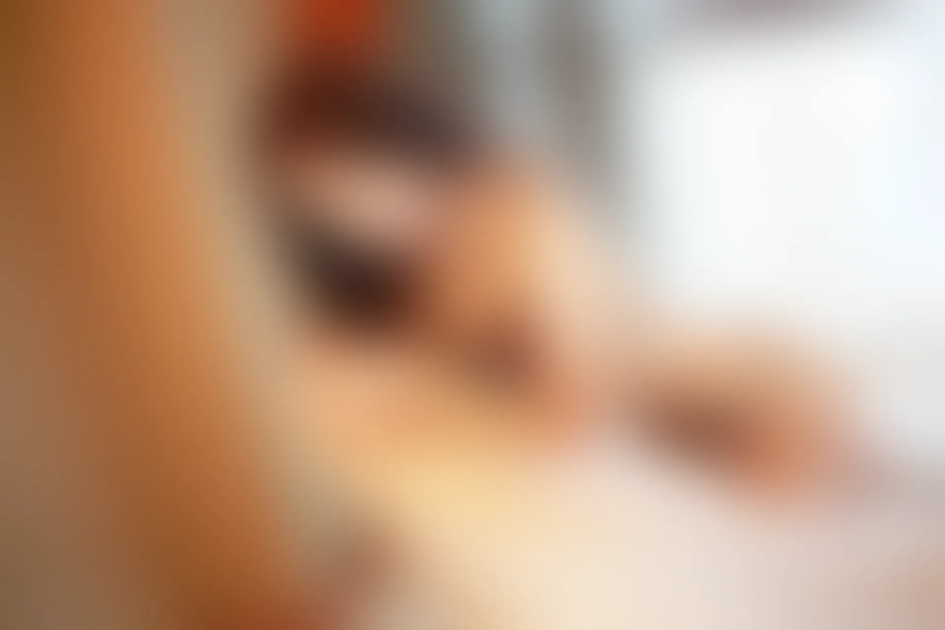 XiuRen秀人网 2014.07.07 No.172 绮里嘉ula [66+1P229M]