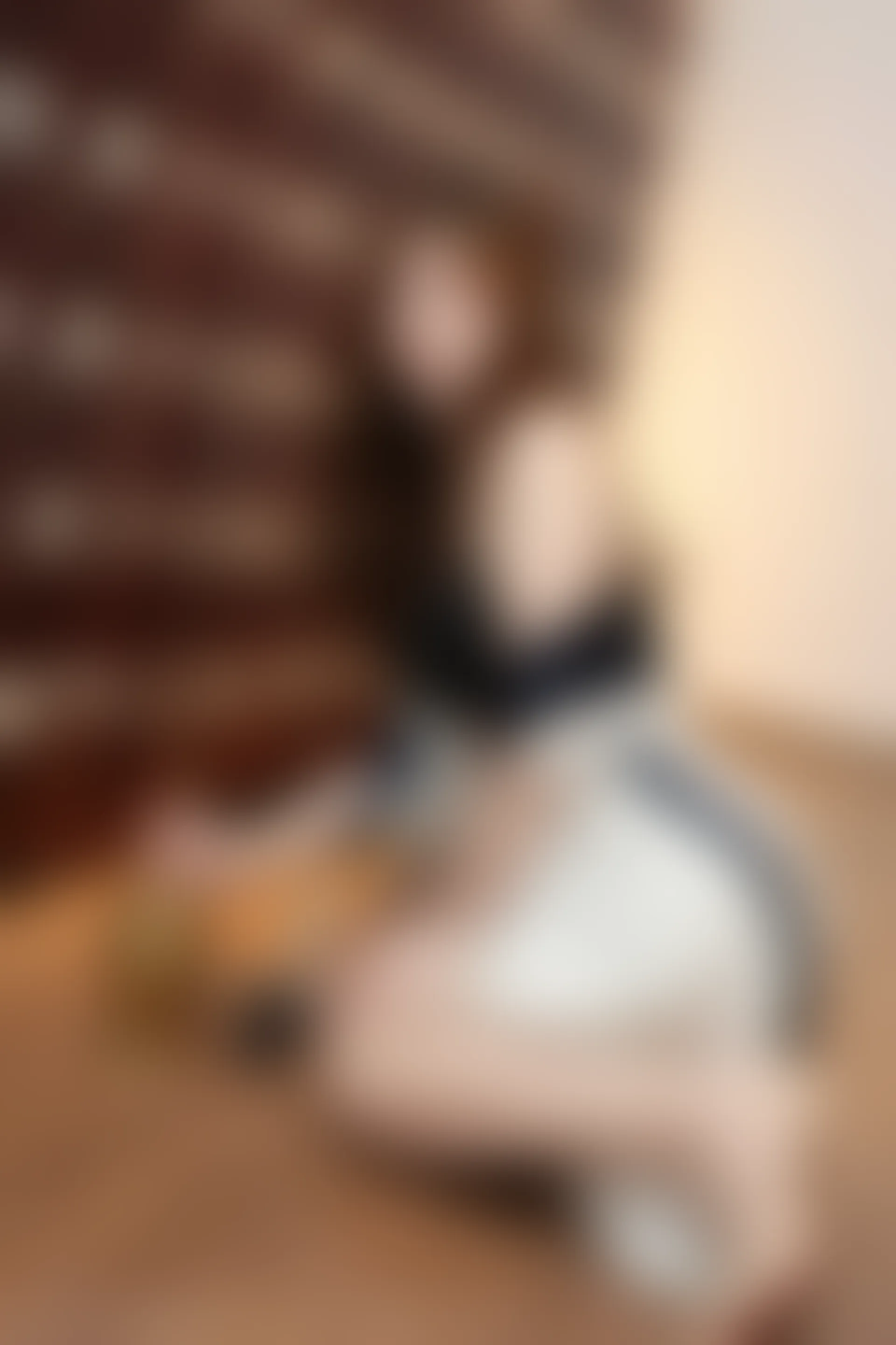 XIUREN秀人网 2024.02.18 NO.8101 月野兔美妞[75+1P／701MB]