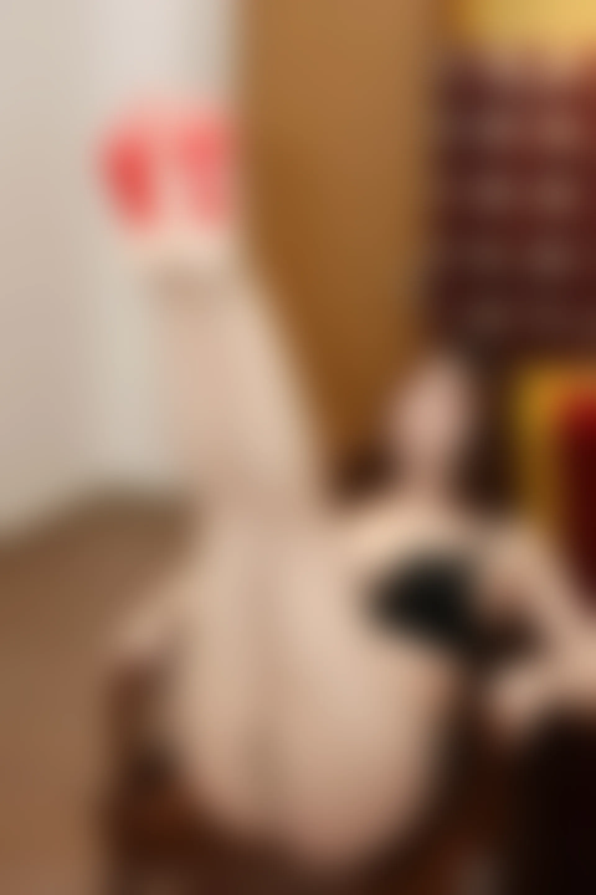 XIUREN秀人网 2024.02.18 NO.8101 月野兔美妞[75+1P／701MB]