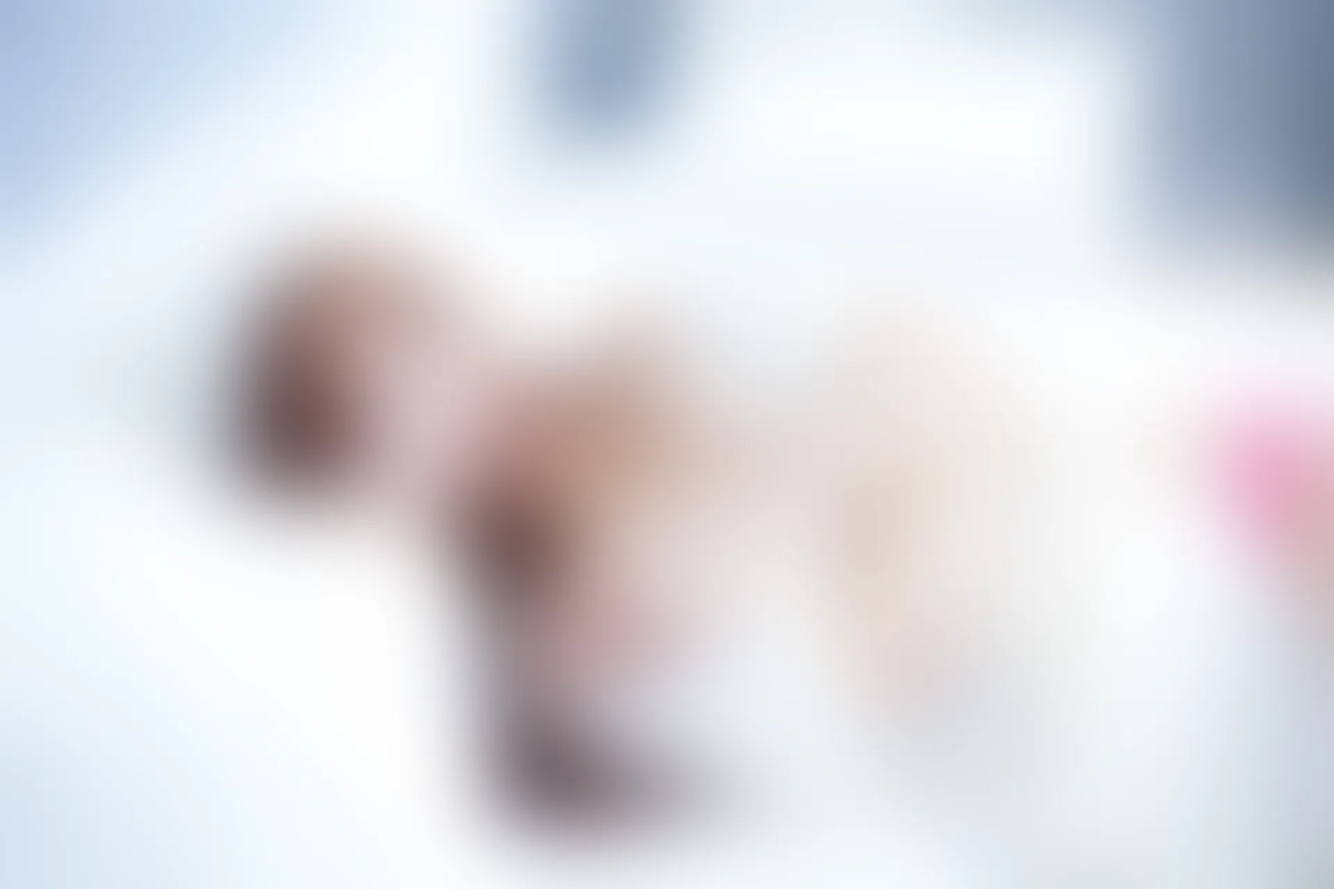 XiuRen秀人网 2013.11.18 No.052 张优ayoyo