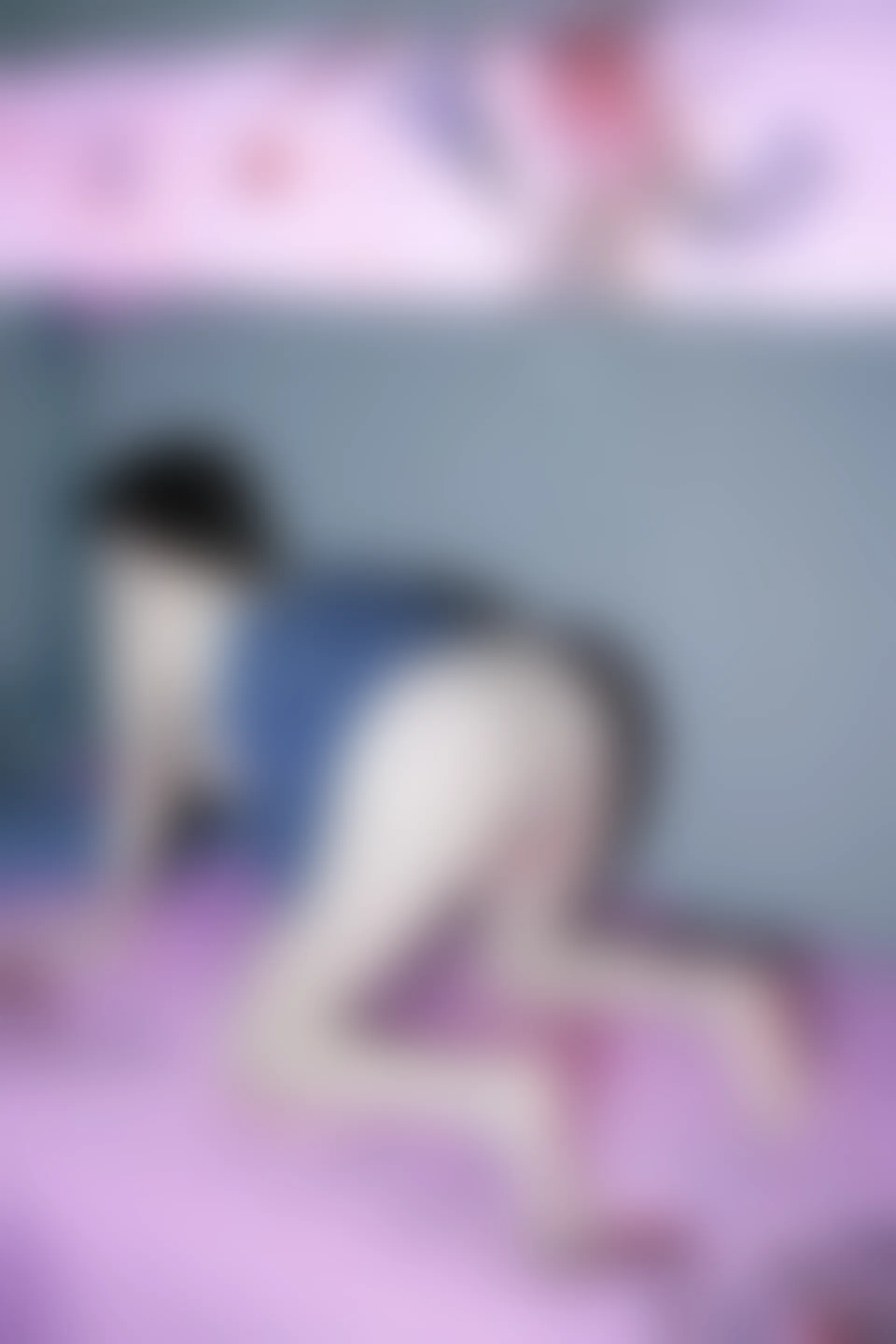 XIUREN秀人网 2024.01.05 NO.7915 Carol周妍希[86+1P／887MB]