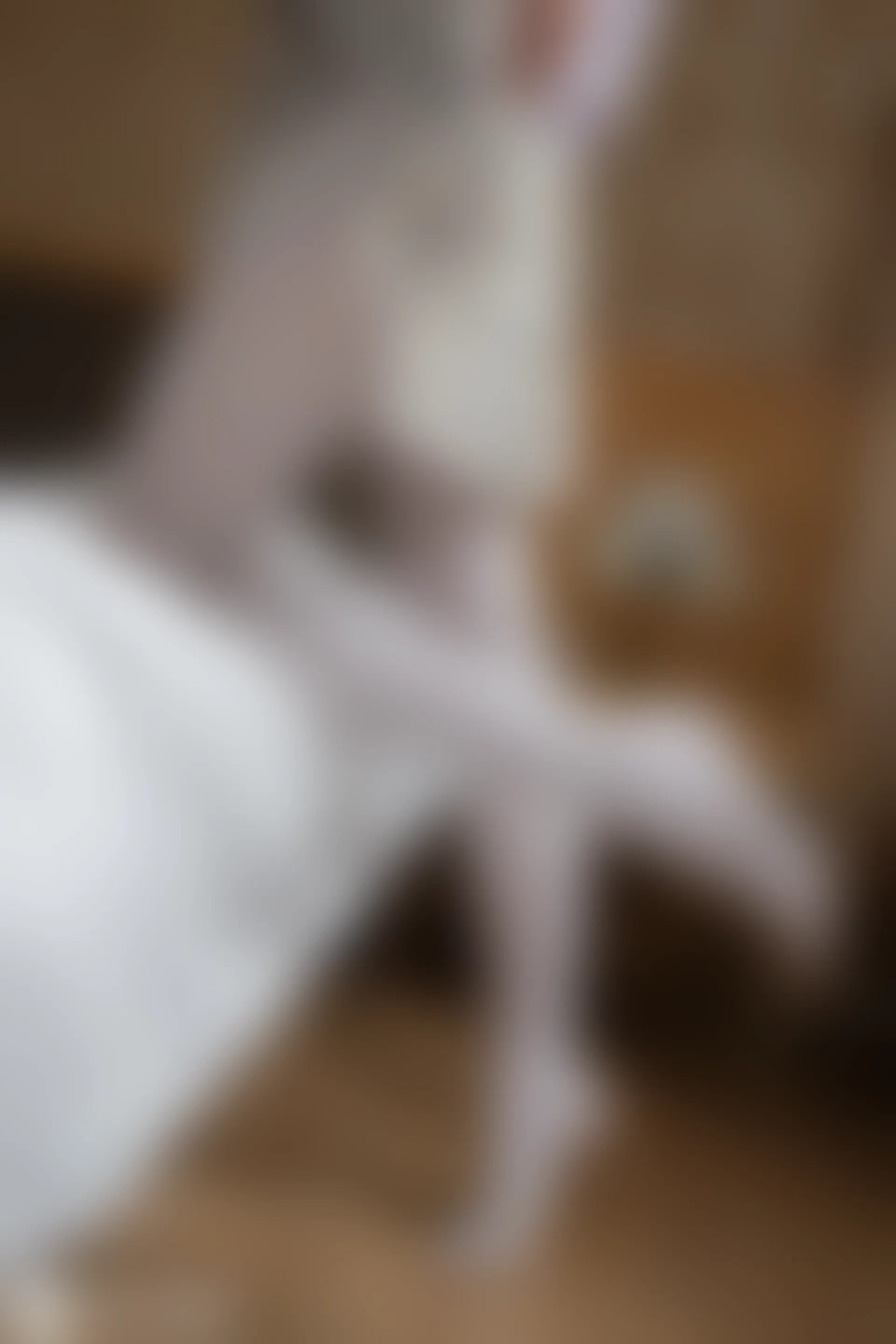 D57.005 妹妹的白丝袜 [40P-74MB]