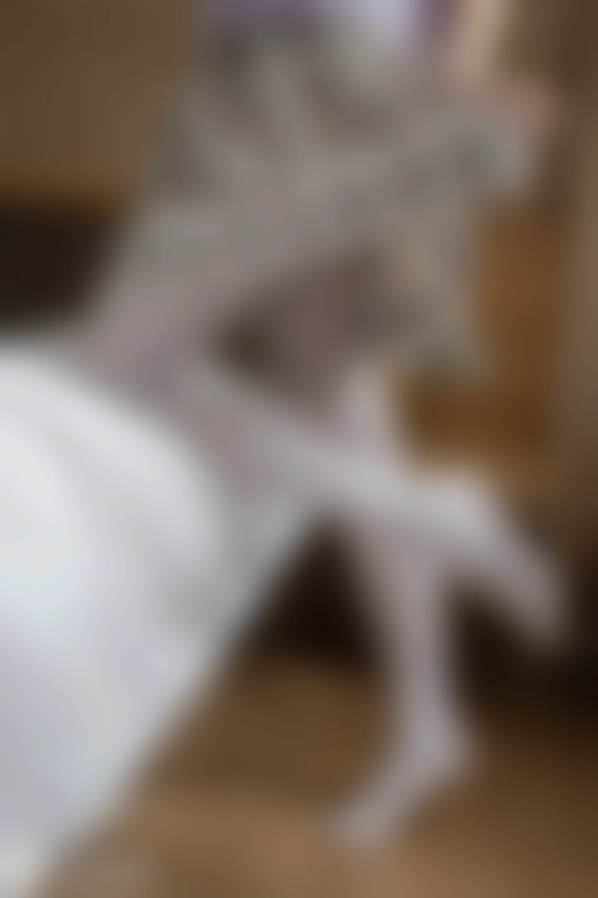 D57.005 妹妹的白丝袜 [40P-74MB]