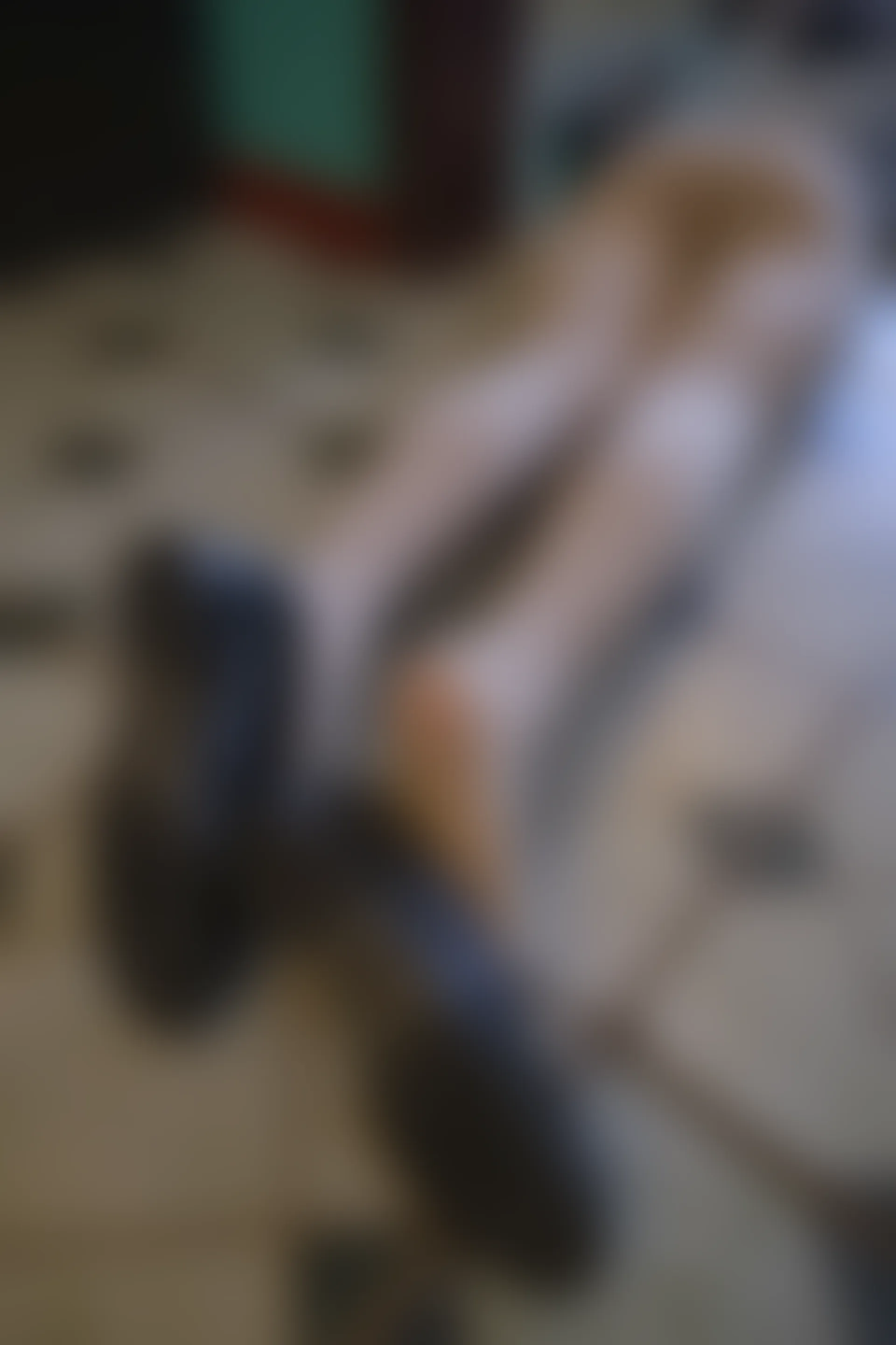 森萝财团 内部VIP系列 雏菊-05 双马尾肉丝JK制服 [109P1V-4.92GB]