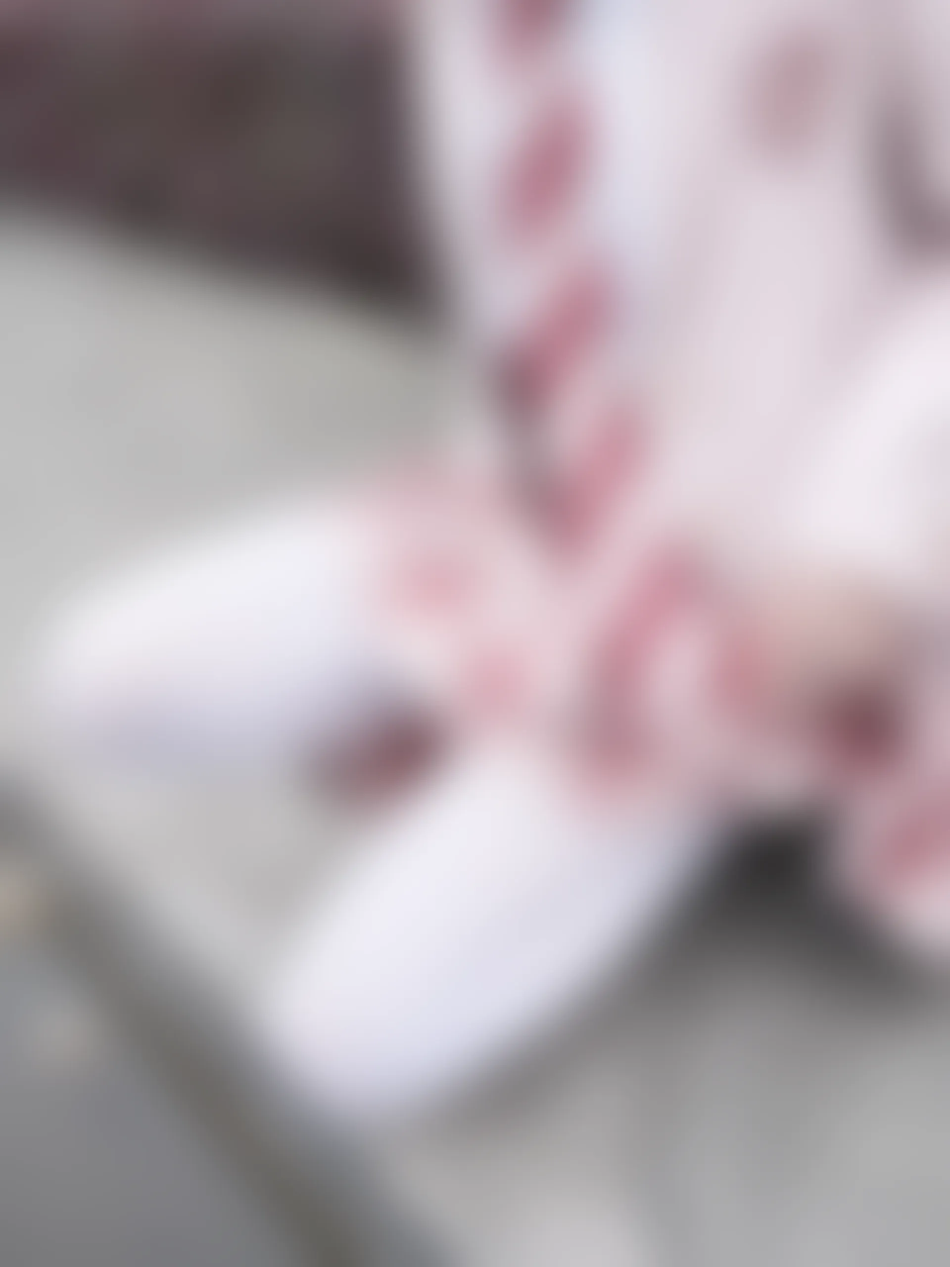 紧急企划 Y-002 [108P-1.63G] 咦咿yiyiyiyiyi 白丝JK制服 户外车内JK, 咦咿yiyiyiyiyi, 白丝, 紧急企划, 美腿, 美足