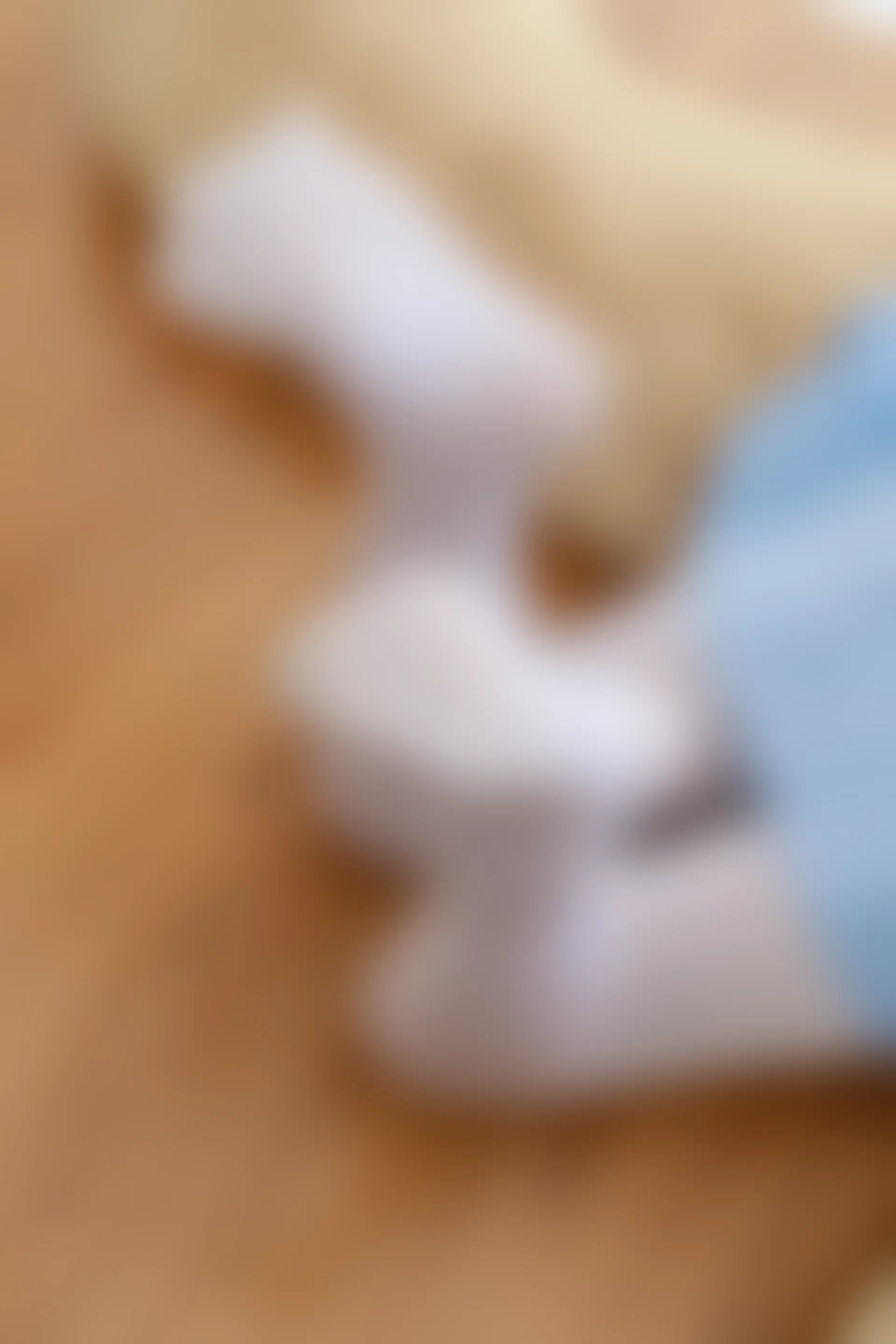喵写真 R15-007 [81P1V-718M]可爱, 喵写真, 学生装, 白丝, 美腿