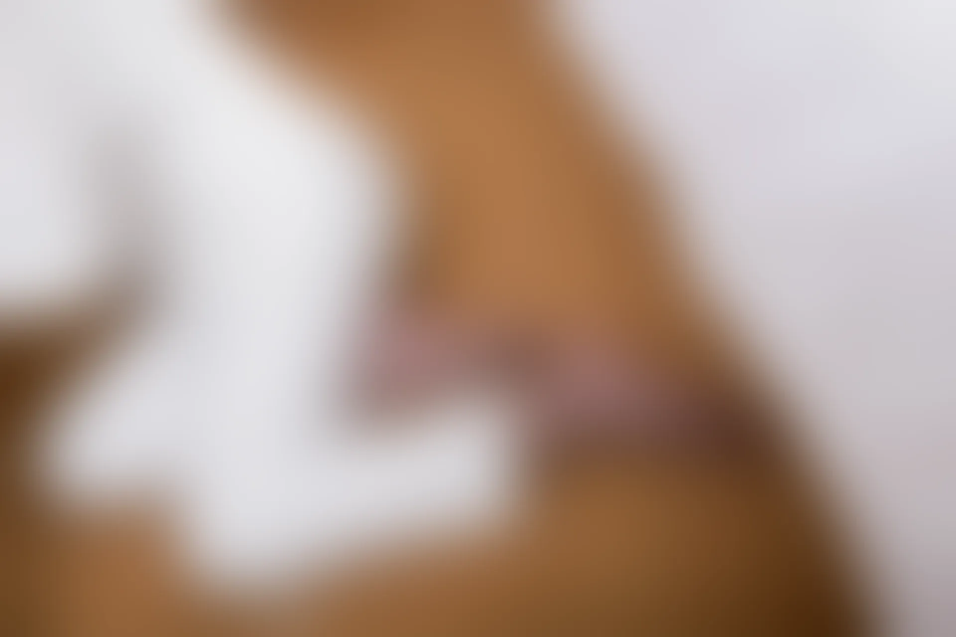 SSA丝社 超清写真 NO.065 大大 白西装裤里丝[123P-1.64GB]