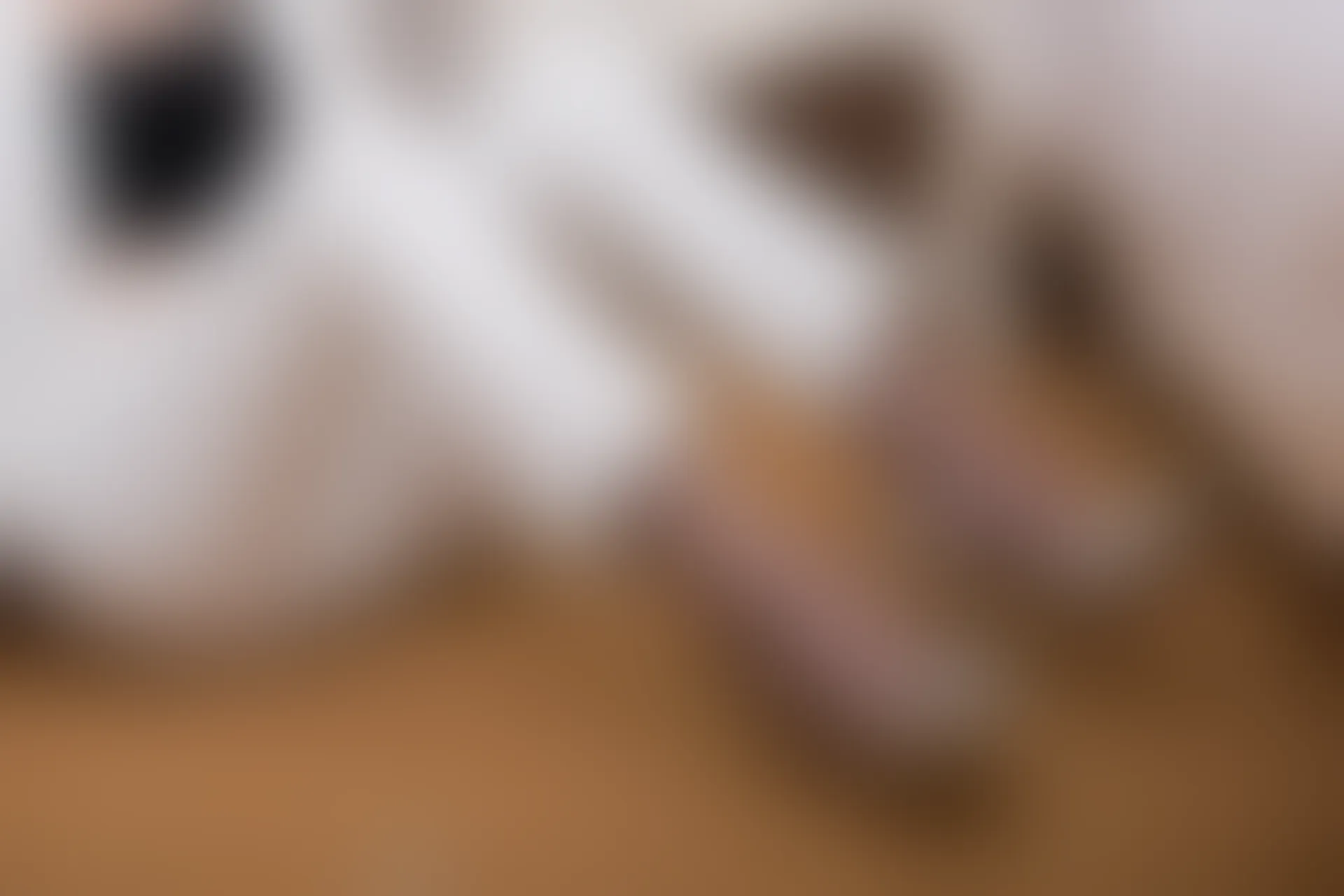 SSA丝社 超清写真 NO.065 大大 白西装裤里丝[123P-1.64GB]