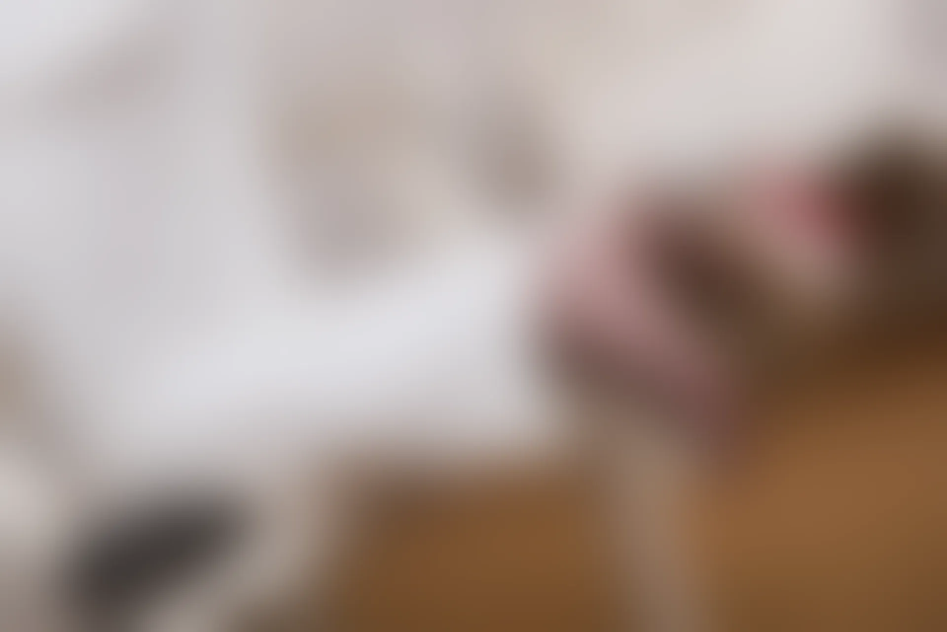 SSA丝社 超清写真 NO.065 大大 白西装裤里丝[123P-1.64GB]
