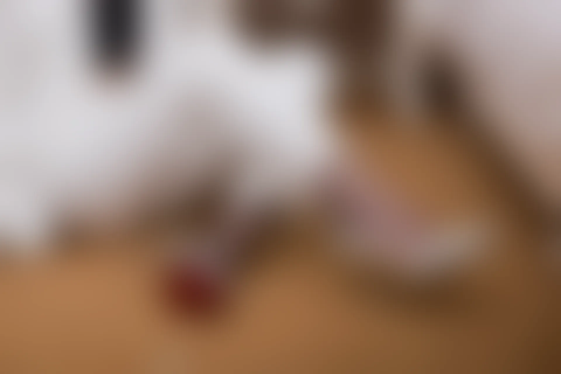 SSA丝社 超清写真 NO.065 大大 白西装裤里丝[123P-1.64GB]