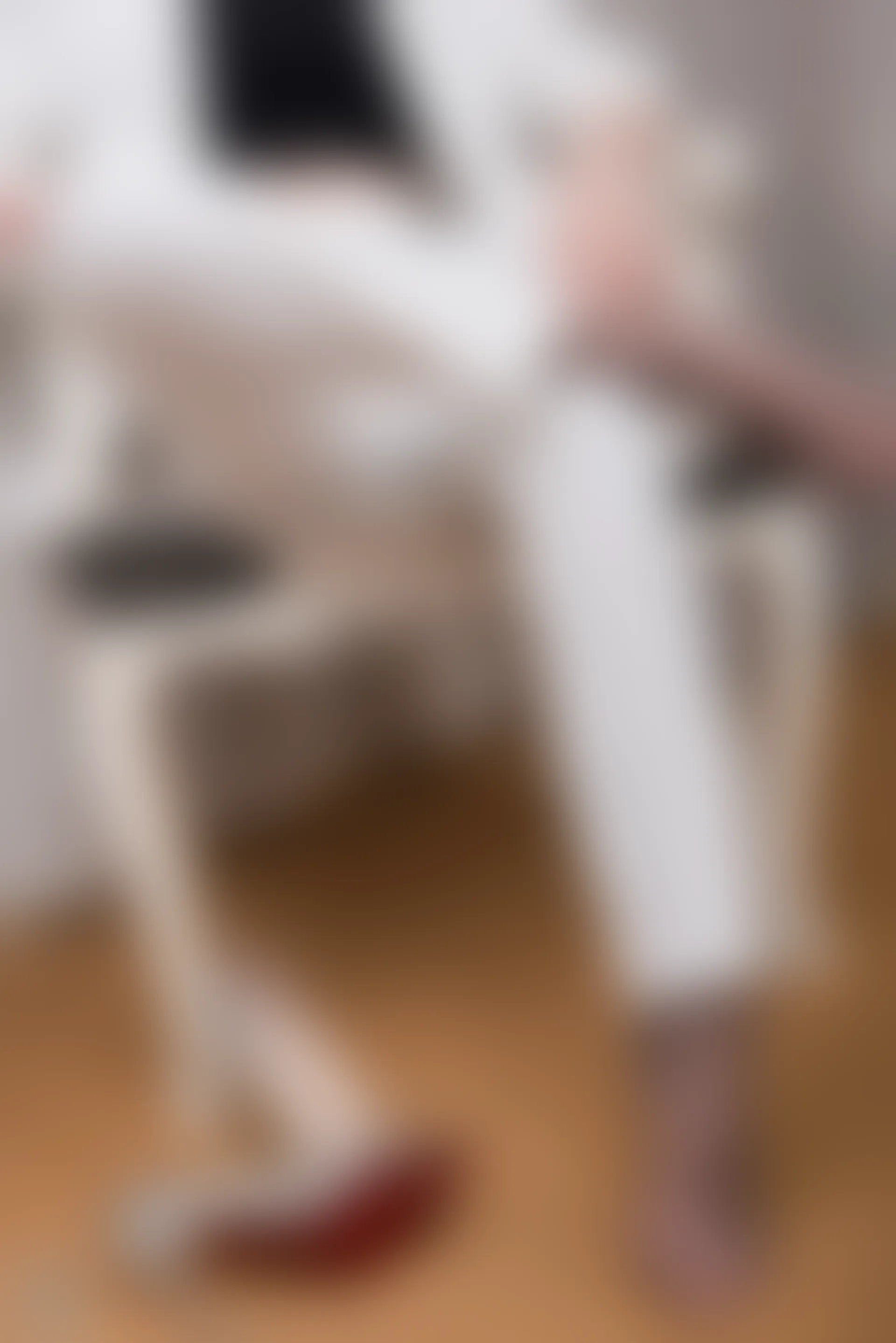 SSA丝社 超清写真 NO.065 大大 白西装裤里丝[123P-1.64GB]