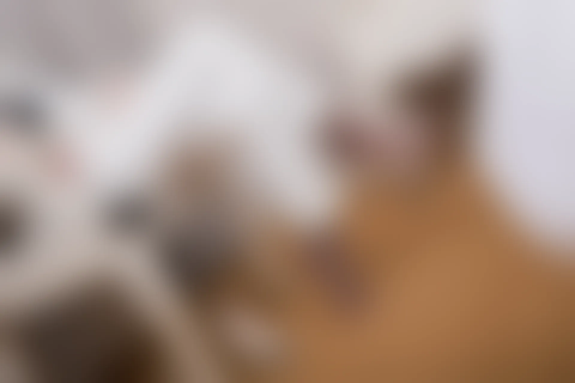 SSA丝社 超清写真 NO.065 大大 白西装裤里丝[123P-1.64GB]