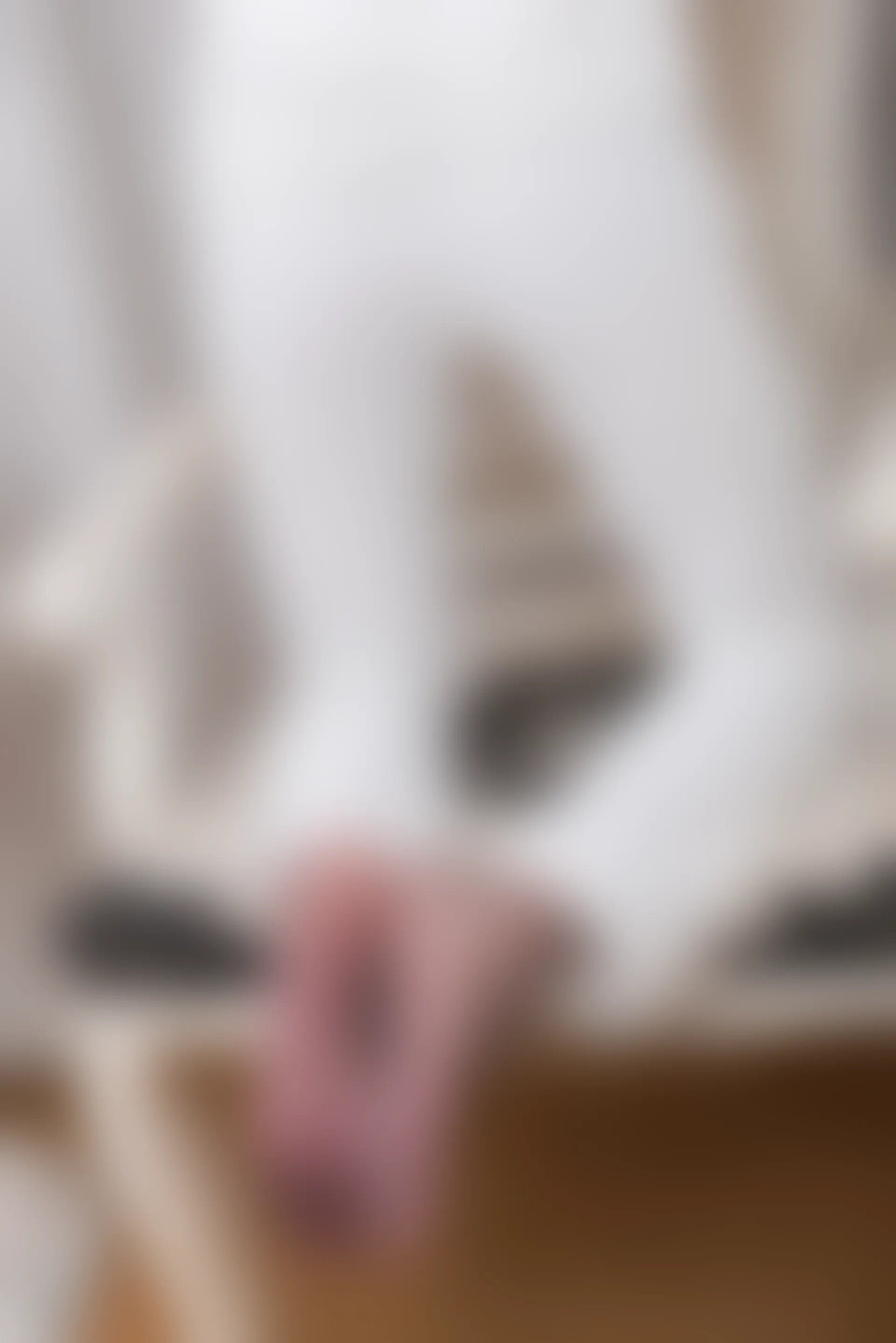 SSA丝社 超清写真 NO.065 大大 白西装裤里丝[123P-1.64GB]