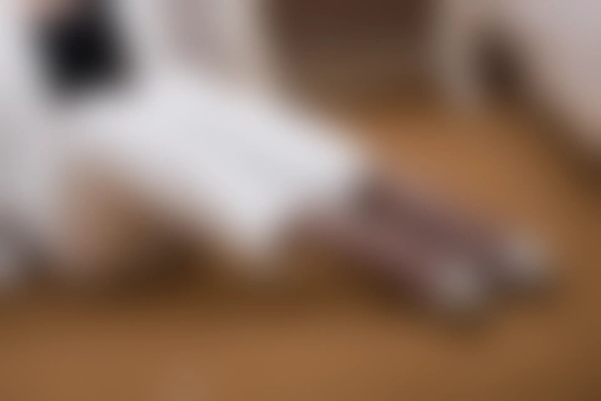 SSA丝社 超清写真 NO.065 大大 白西装裤里丝[123P-1.64GB]