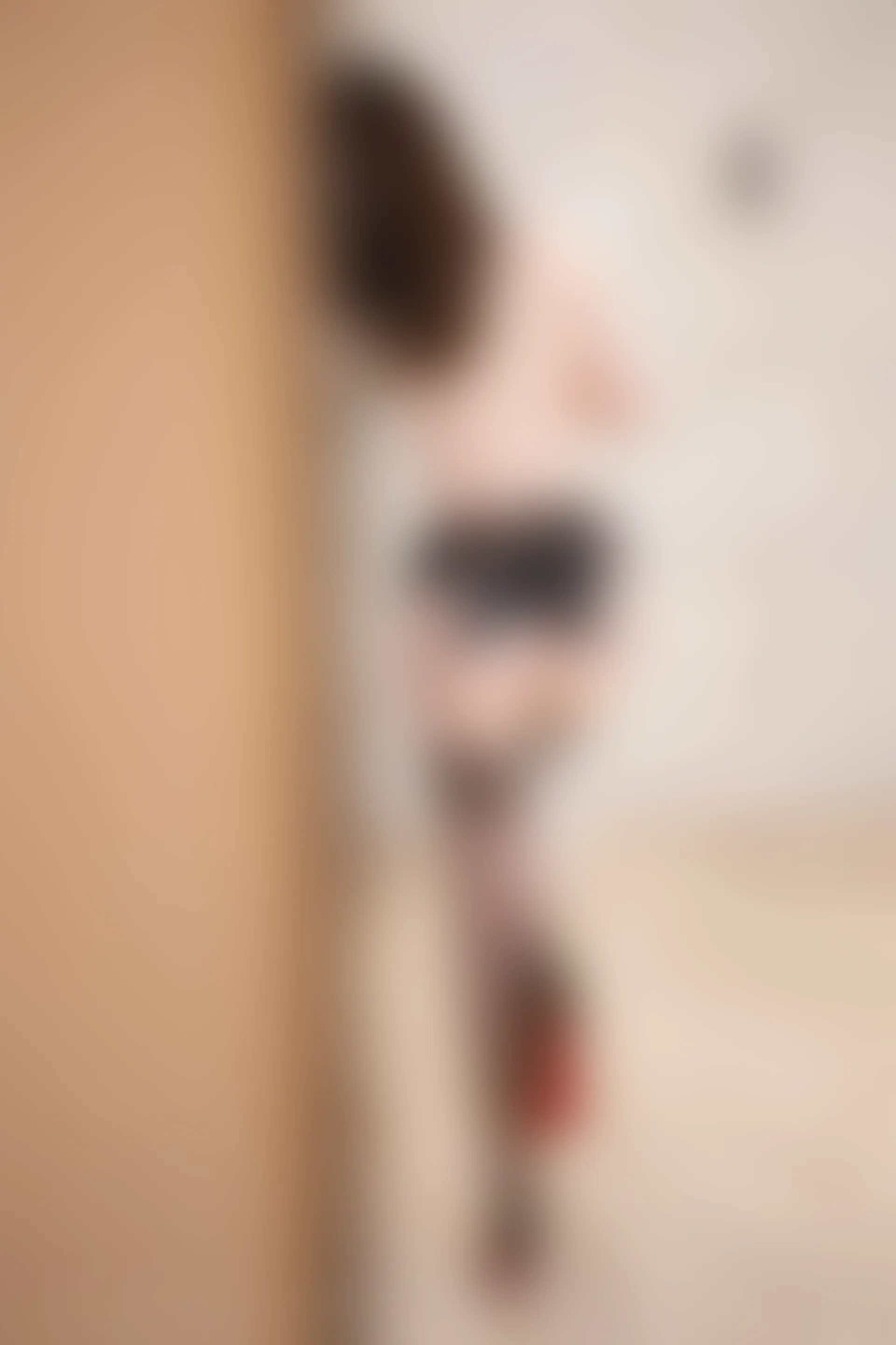 XIUREN秀人网 2024.02.26 NO.8141 梦心玥[80+1P／627MB]