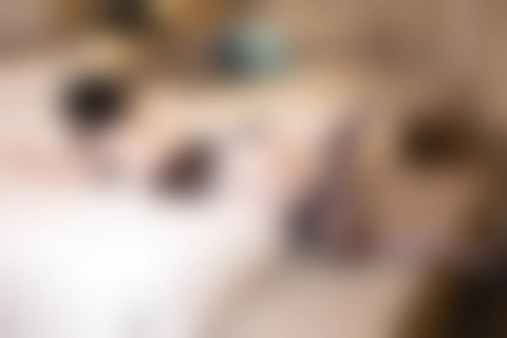 XIUREN秀人网 2024.02.26 NO.8141 梦心玥[80+1P／627MB]