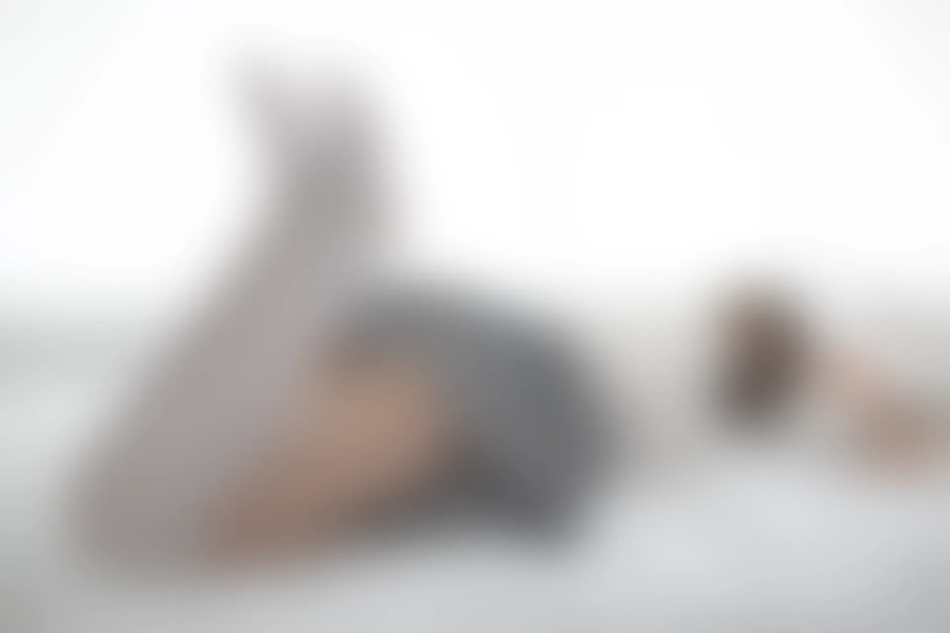 森萝财团 R15-009 [84P-390M]制服, 可爱, 学生装, 森萝财团, 白丝