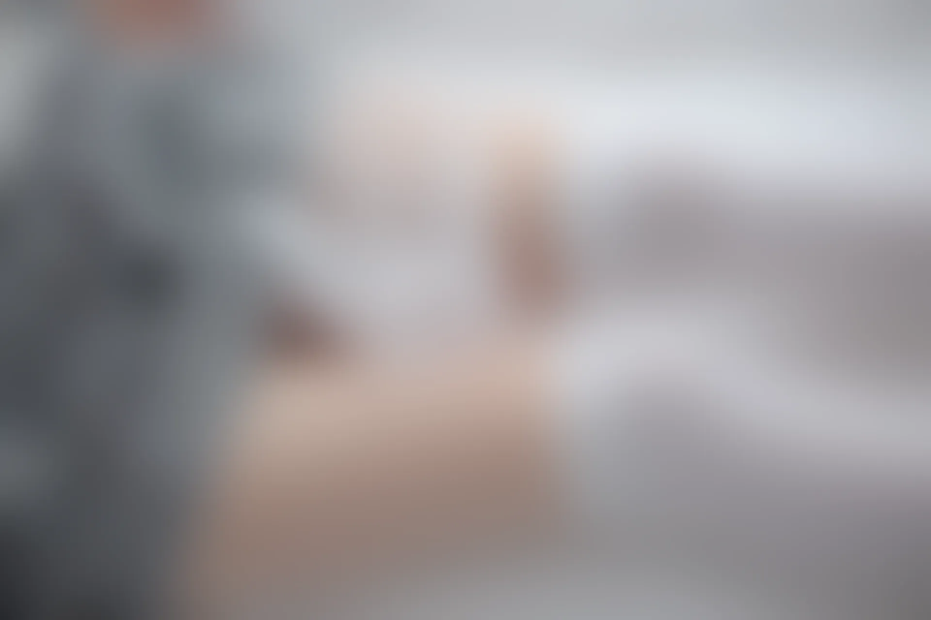 森萝财团 R15-009 [84P-390M]制服, 可爱, 学生装, 森萝财团, 白丝