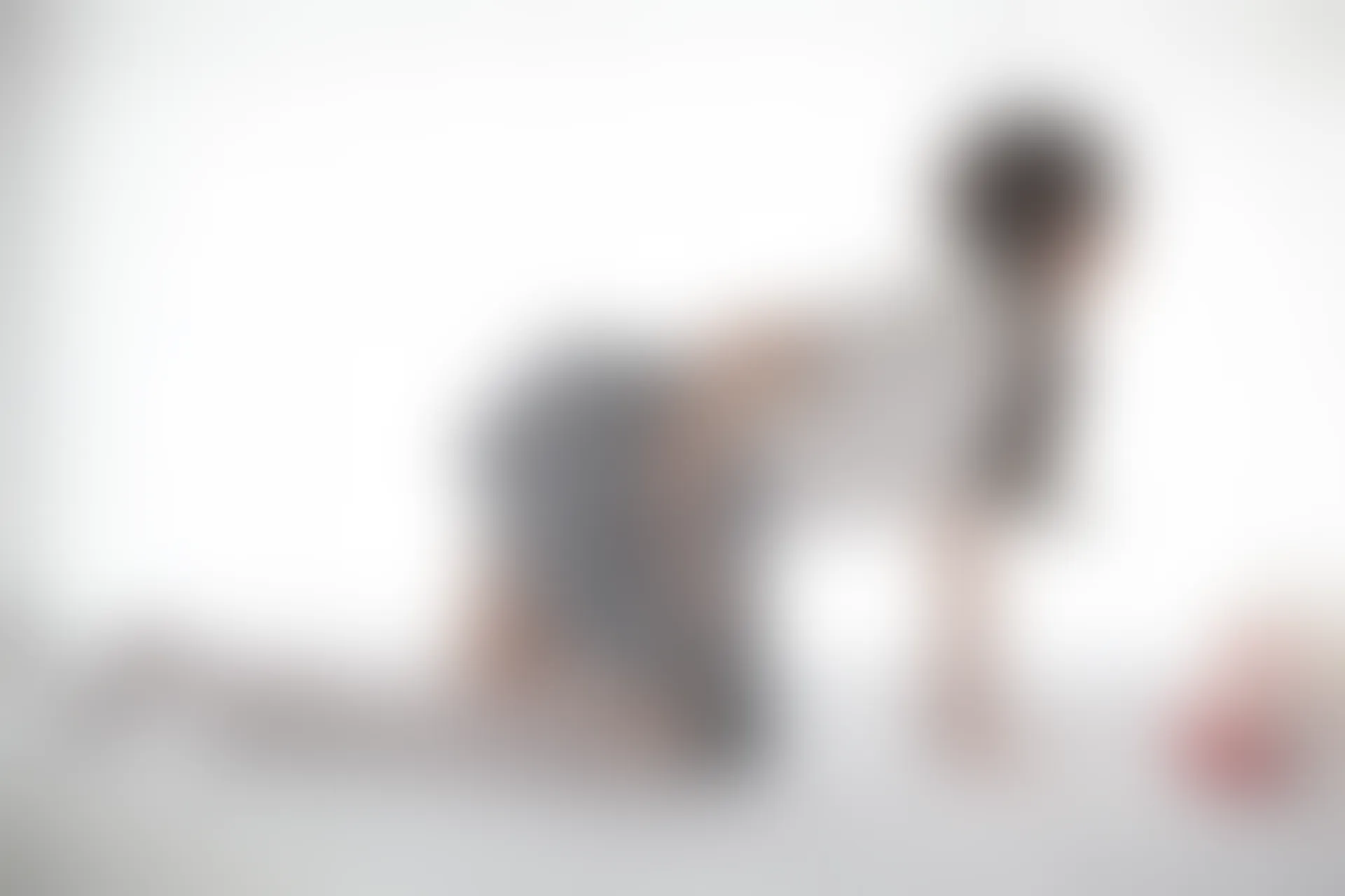 森萝财团 R15-009 [84P-390M]制服, 可爱, 学生装, 森萝财团, 白丝