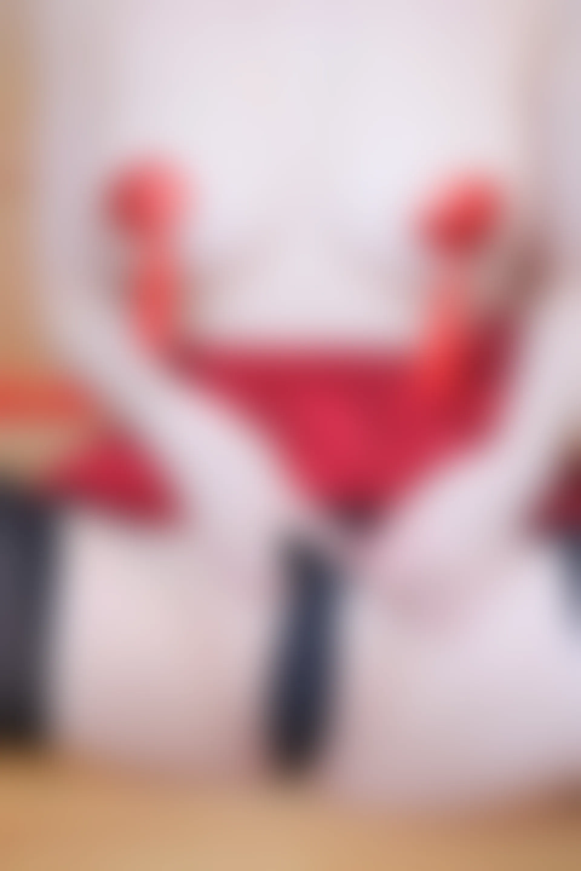 XIUREN秀人网 2024.02.06 NO.8078 诗诗kiki[78+1P／846MB]