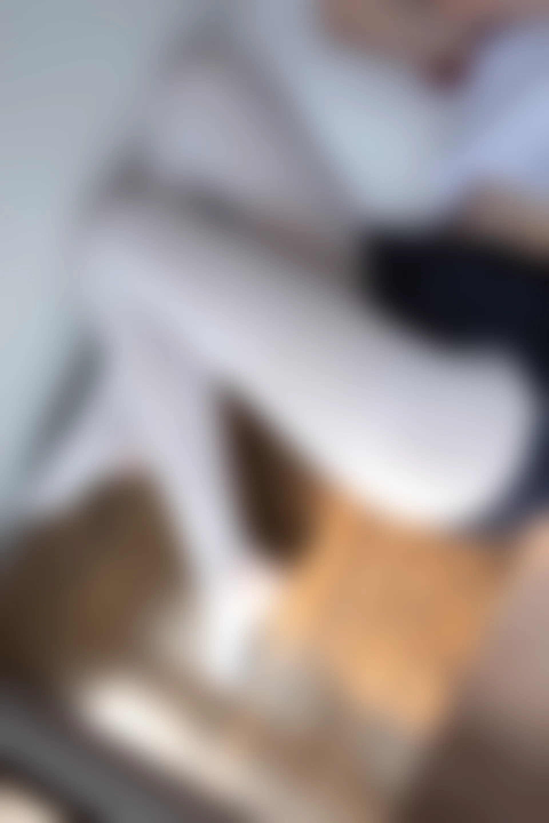 爱花写真 ALPHA-003 [144P-1.39G]可爱, 校服, 森萝财团, 水手服, 爱花写真, 白丝