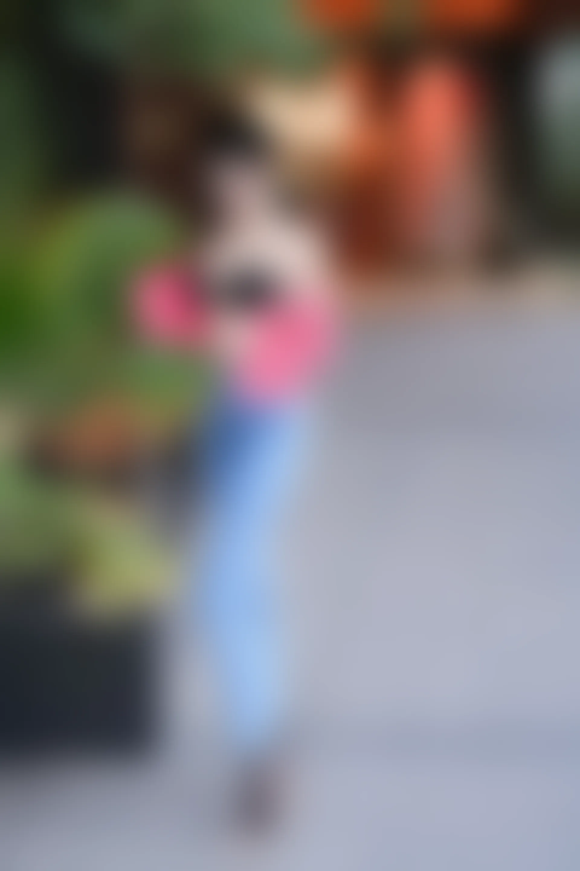 XIUREN秀人网 2024.02.08 NO.8091 龙雪儿[69+1P／373MB]