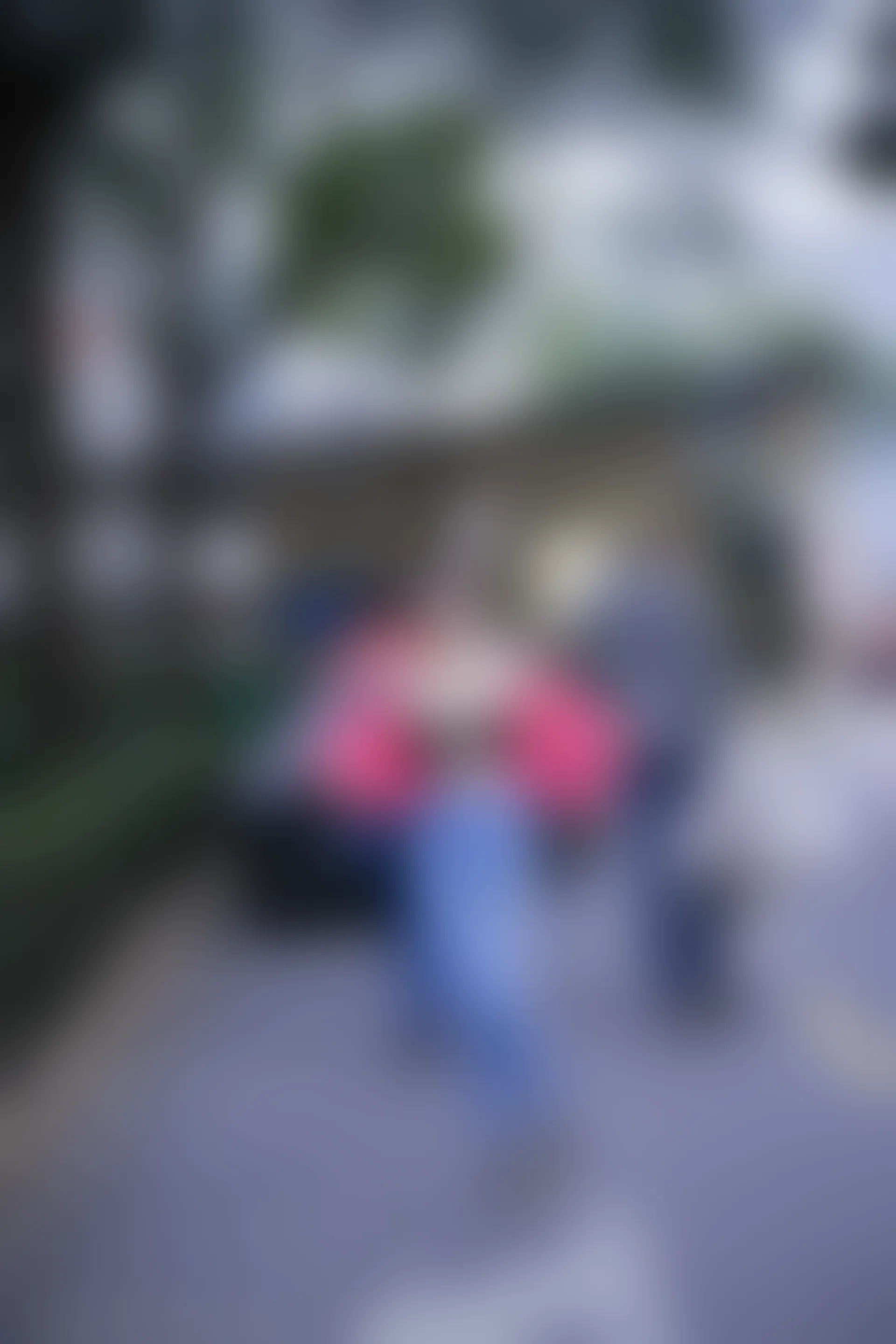 XIUREN秀人网 2024.02.08 NO.8091 龙雪儿[69+1P／373MB]