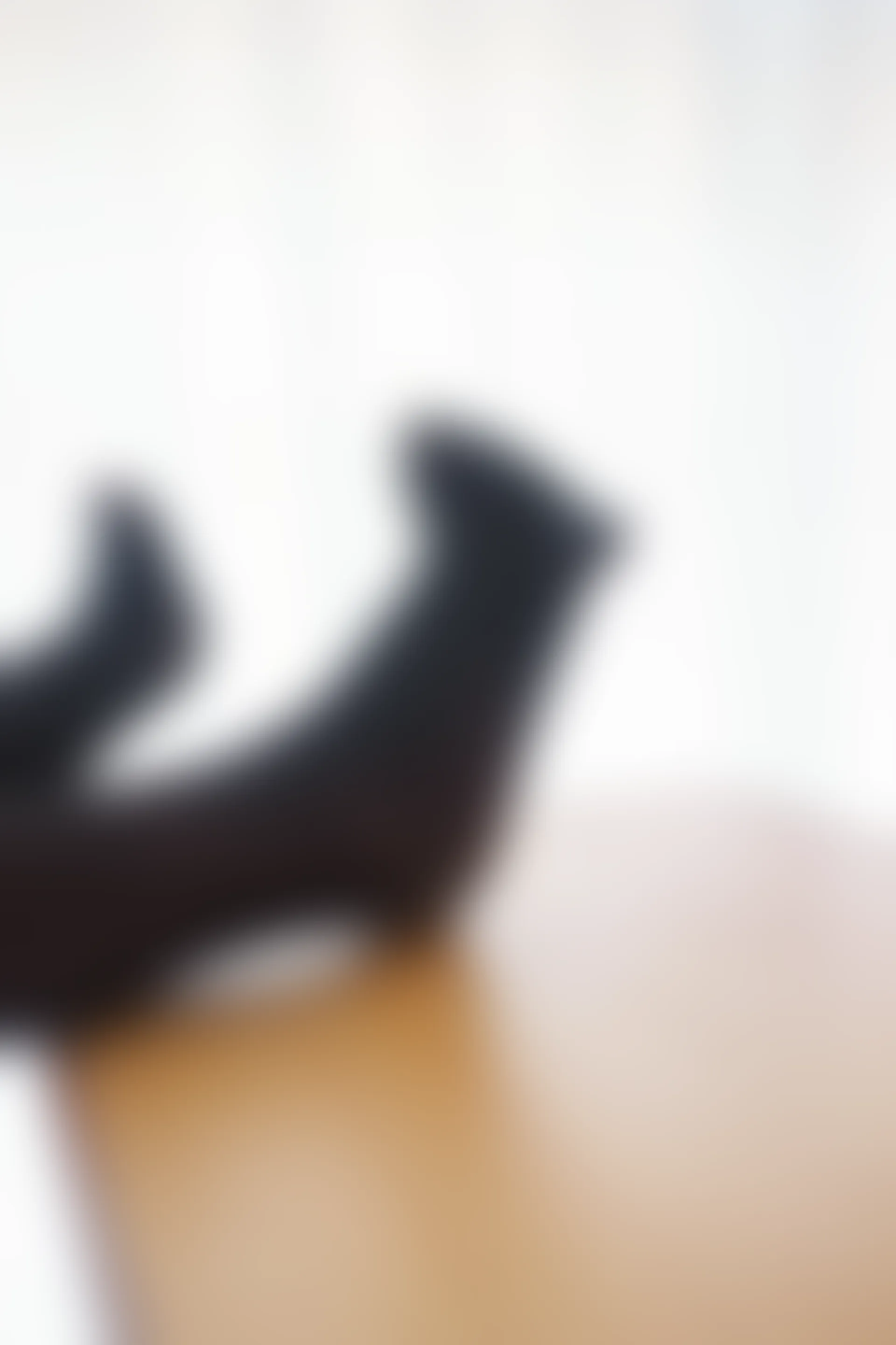 喵写真 VOL-004 [71P-289M]可爱, 喵写真, 学生装, 美腿, 黑丝