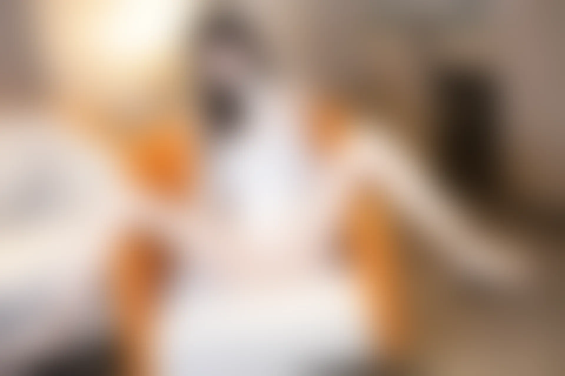 XIUREN秀人网 2024.01.31 NO.8045 林星阑[101+1P／764MB]