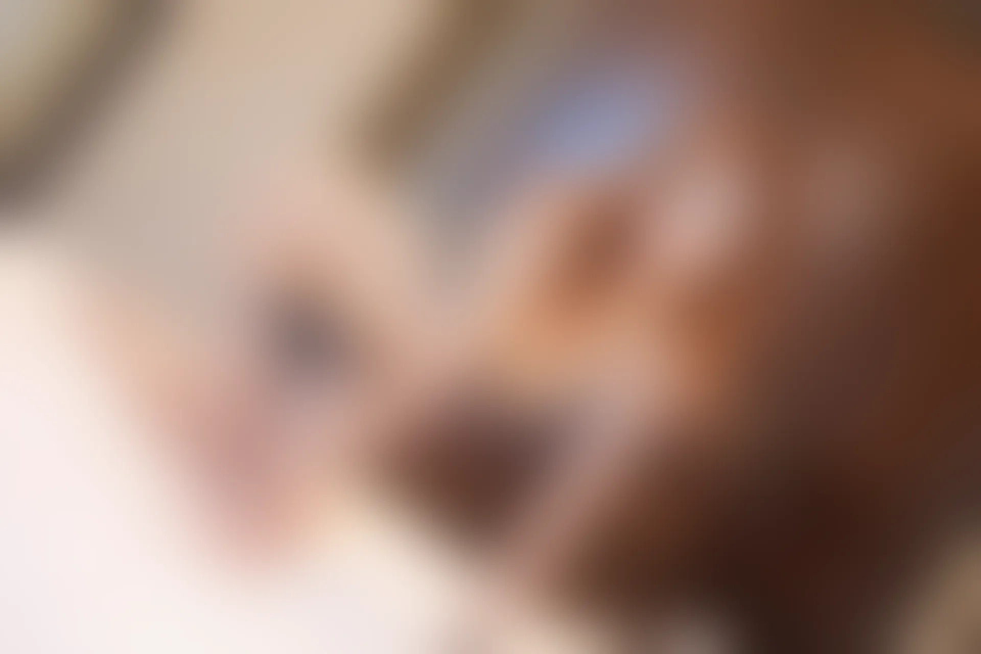 XIUREN秀人网 2024.03.01 NO.8160 vicki[79+1P／677MB]