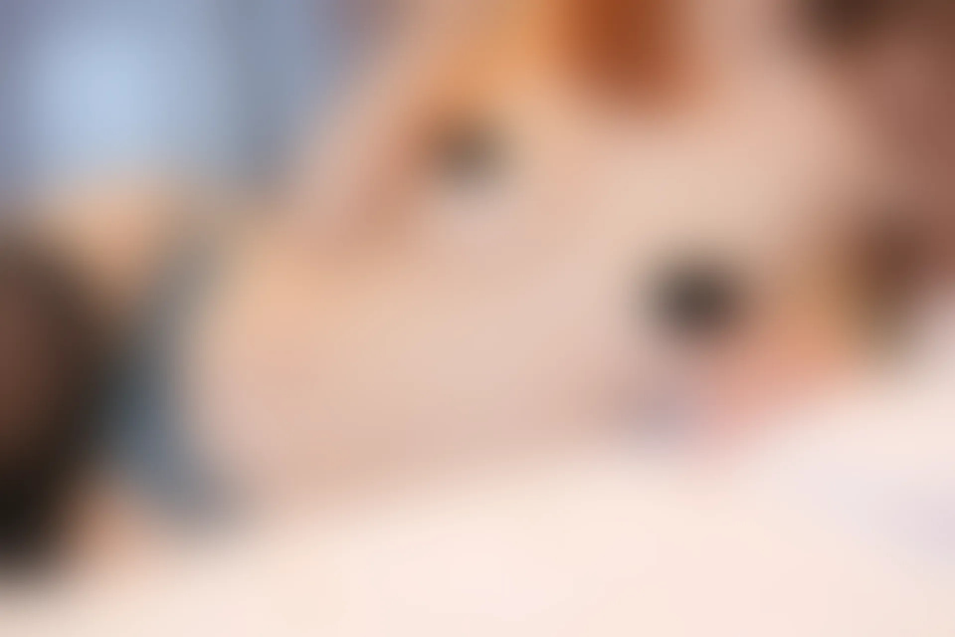 XIUREN秀人网 2024.03.01 NO.8160 vicki[79+1P／677MB]
