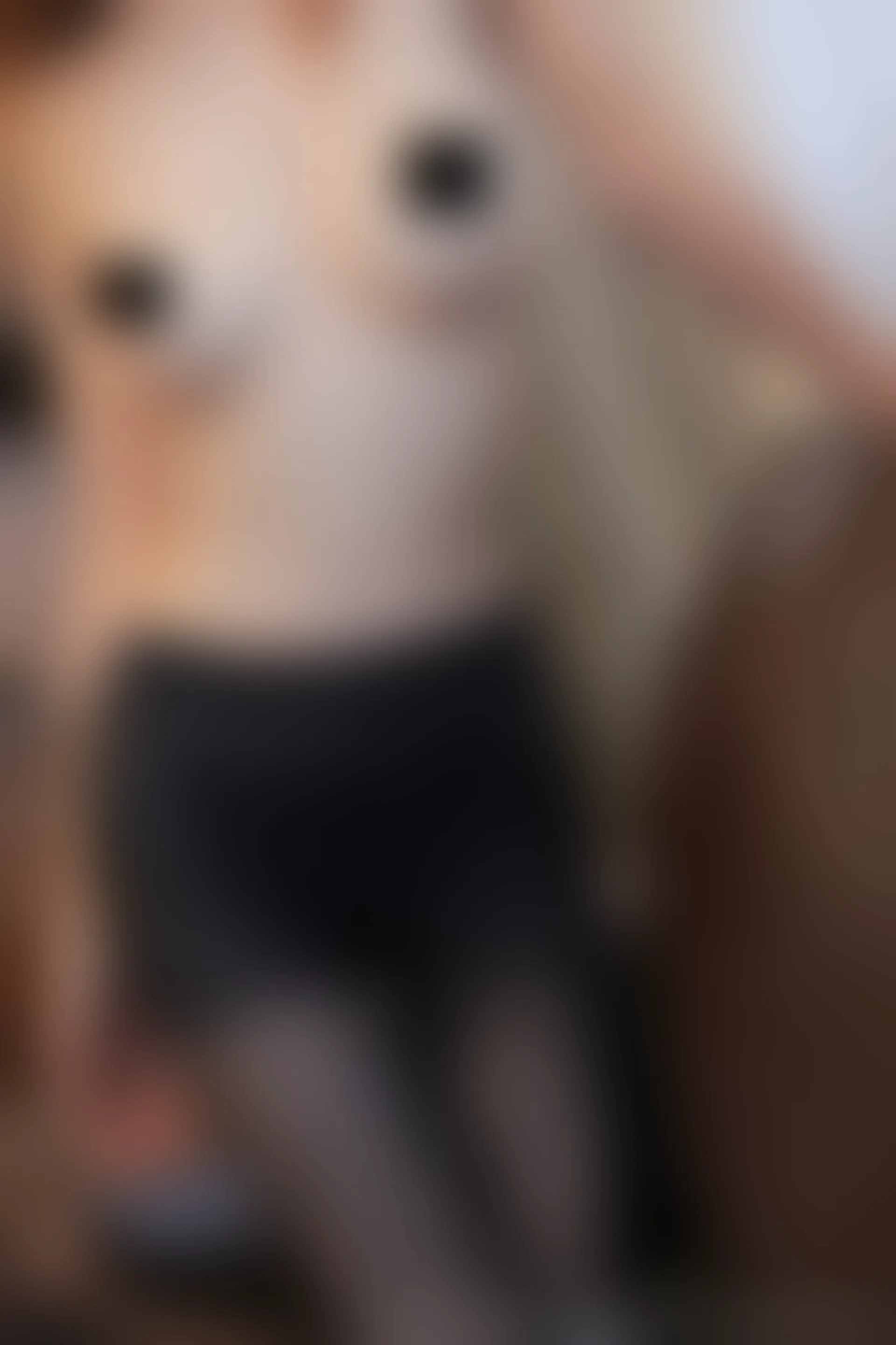 XIUREN秀人网 2024.03.01 NO.8160 vicki[79+1P／677MB]