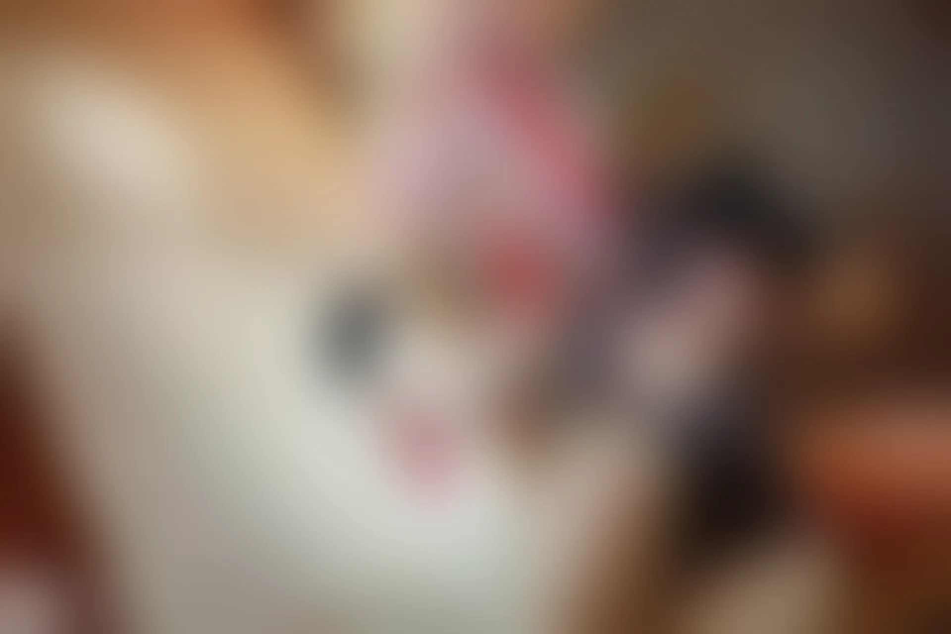 C48.001 玉藻前的旗袍 [40P-515MB]