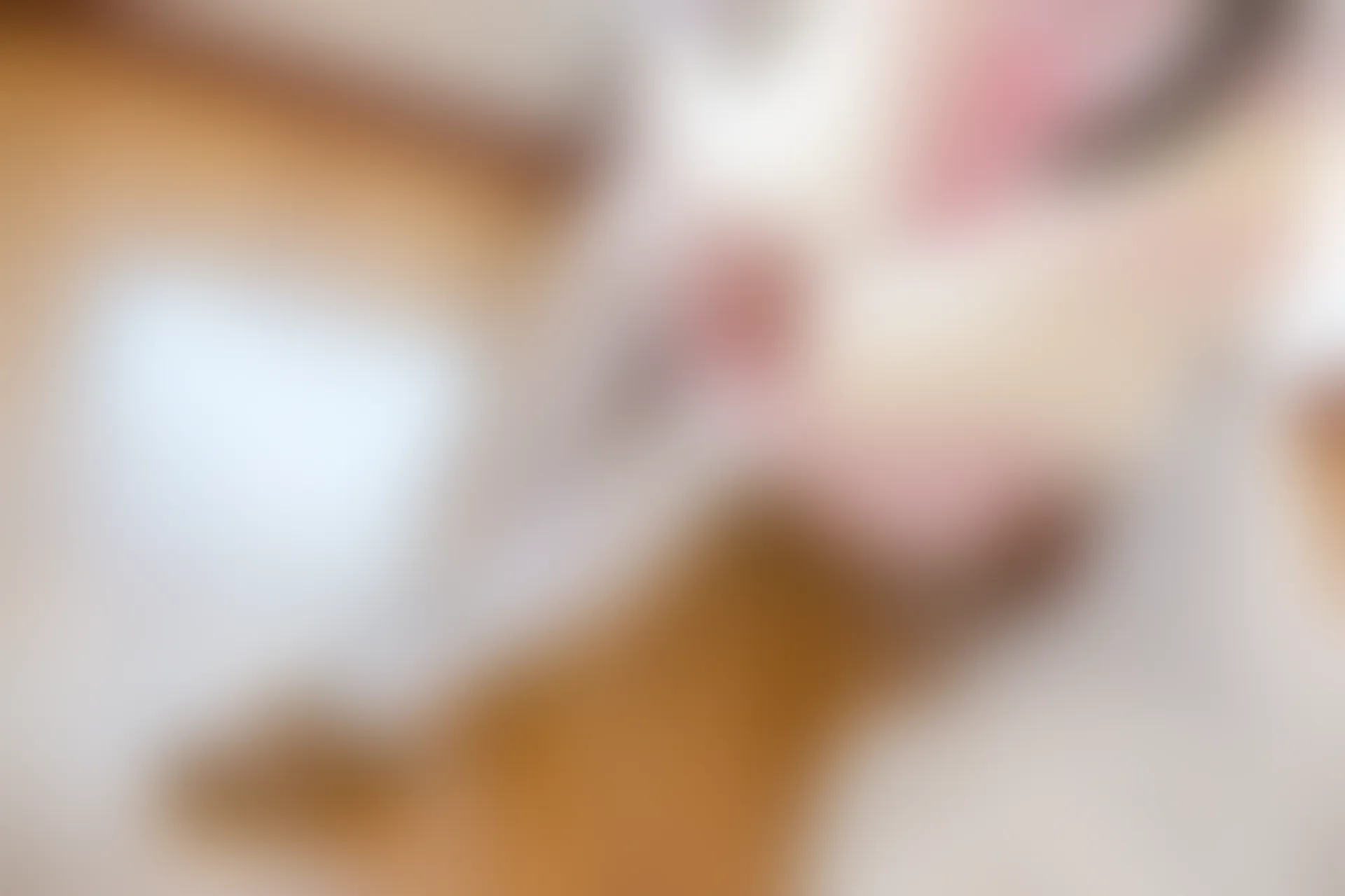 森萝财团 BETA-013 [106P-725M]公主, 可爱, 白丝, 美腿