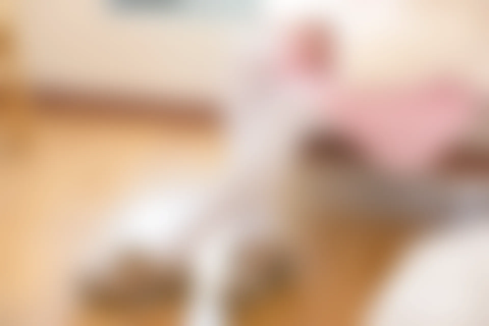 森萝财团 BETA-013 [106P-725M]公主, 可爱, 白丝, 美腿