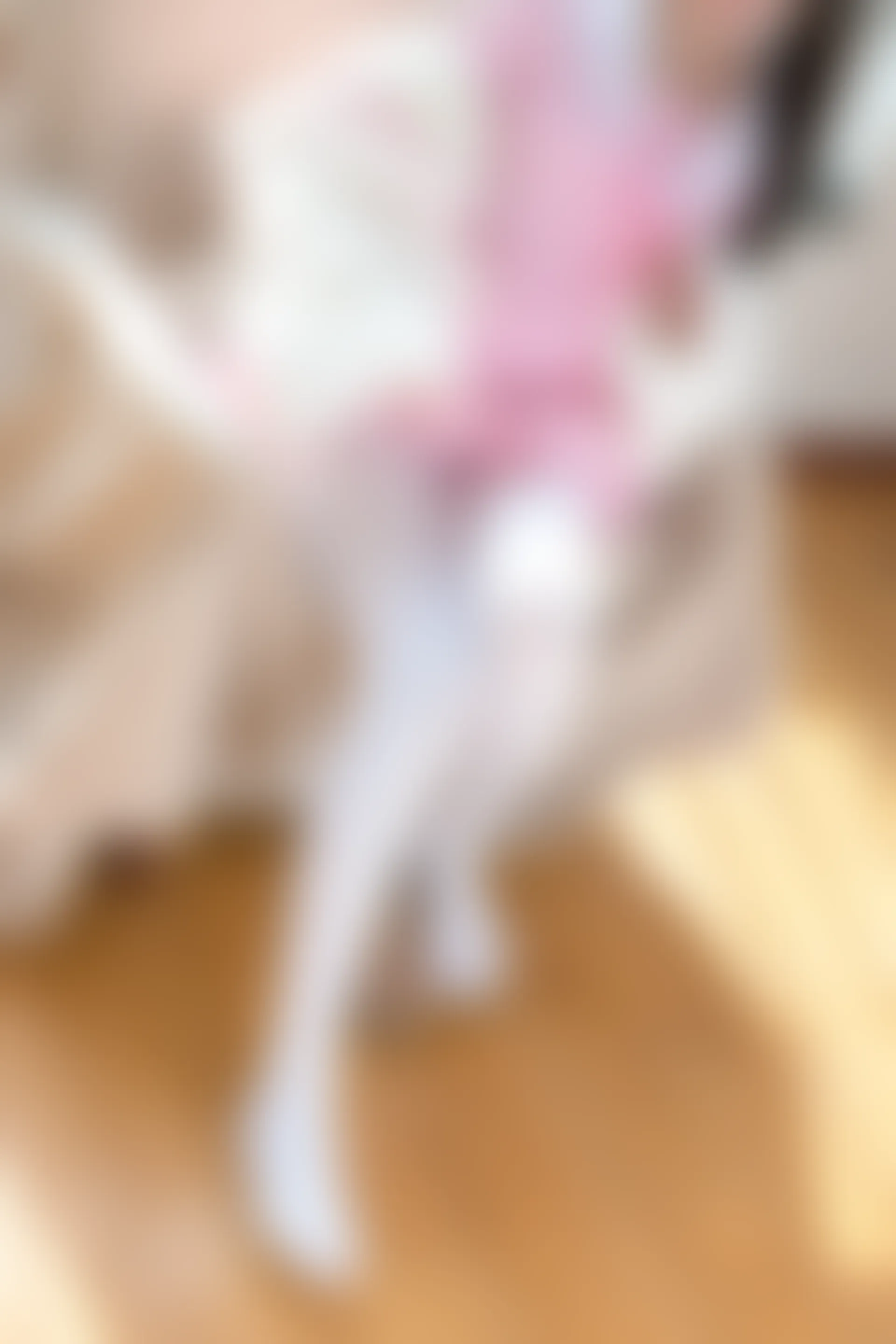 森萝财团 BETA-013 [106P-725M]公主, 可爱, 白丝, 美腿